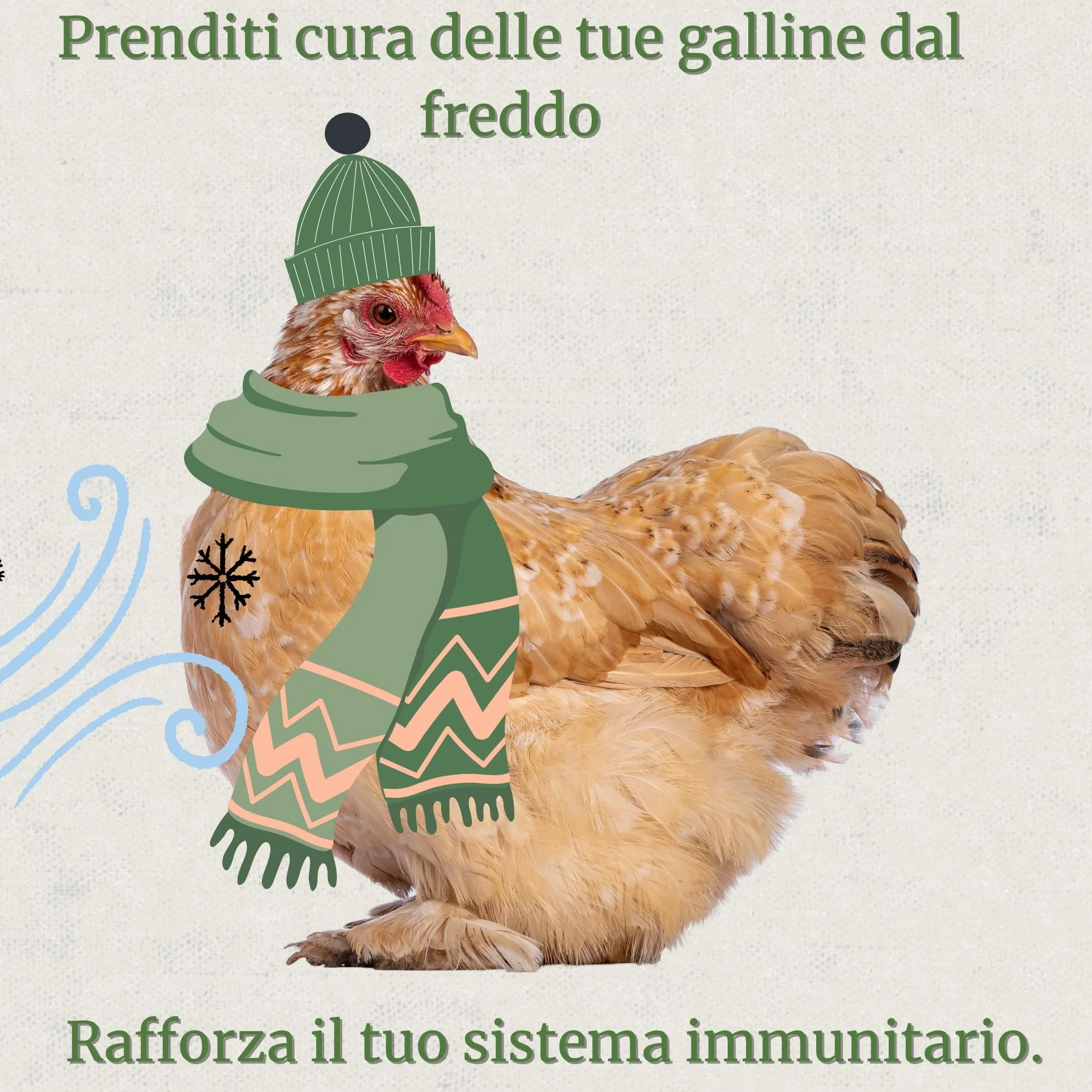 Broncare Respiratorio 250 ml con ADEC - Polli, Uccelli da Cortile ed Esotici - Oli Essenziali, Supporto Immunitario e Respiratorio - Equiseto, Menta, Timo e Rosmarino