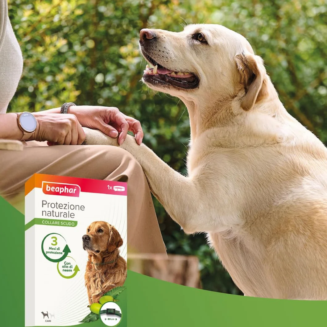 Beaphar Protezione Naturale, Collare Scudo Regolabile per Cane Grande, con Olio di Neem, Fino a 3 Mesi di Protezione, 80 cm