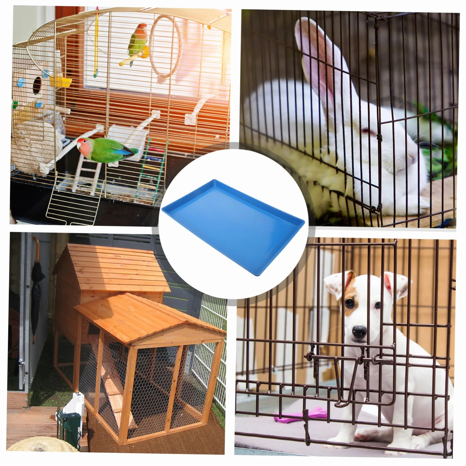Porta Traversina per Cestino Animali Domestici Plastica Blu, per Gabbie Cani, Facile da Pulire