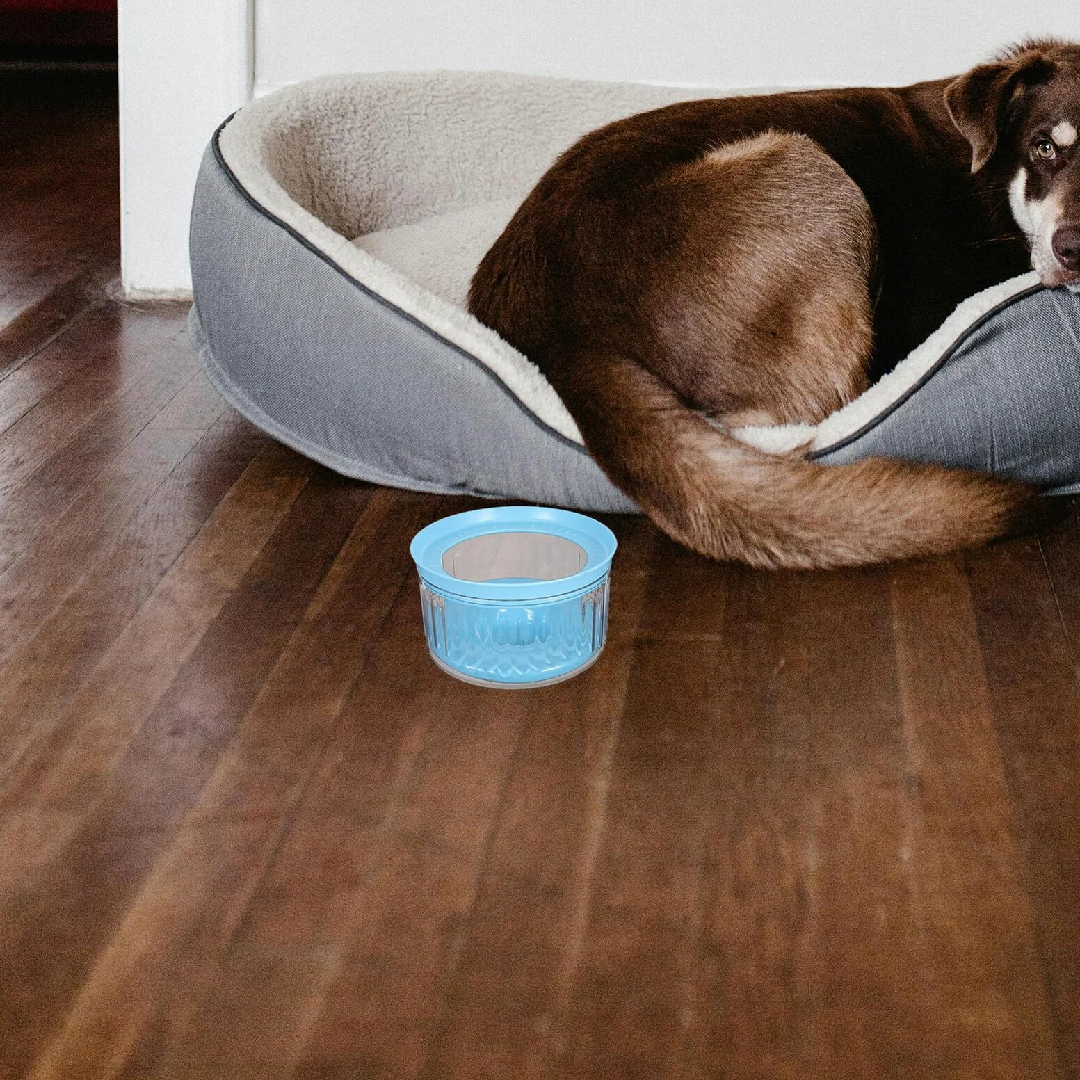 ifundom Ciotola Galleggiante per Cani Antispruzzo Base Antiribaltamento Ciotola per L’Acqua da Viaggio e Cuccia Resistente e Adatta per Uso Interno ed Esterno