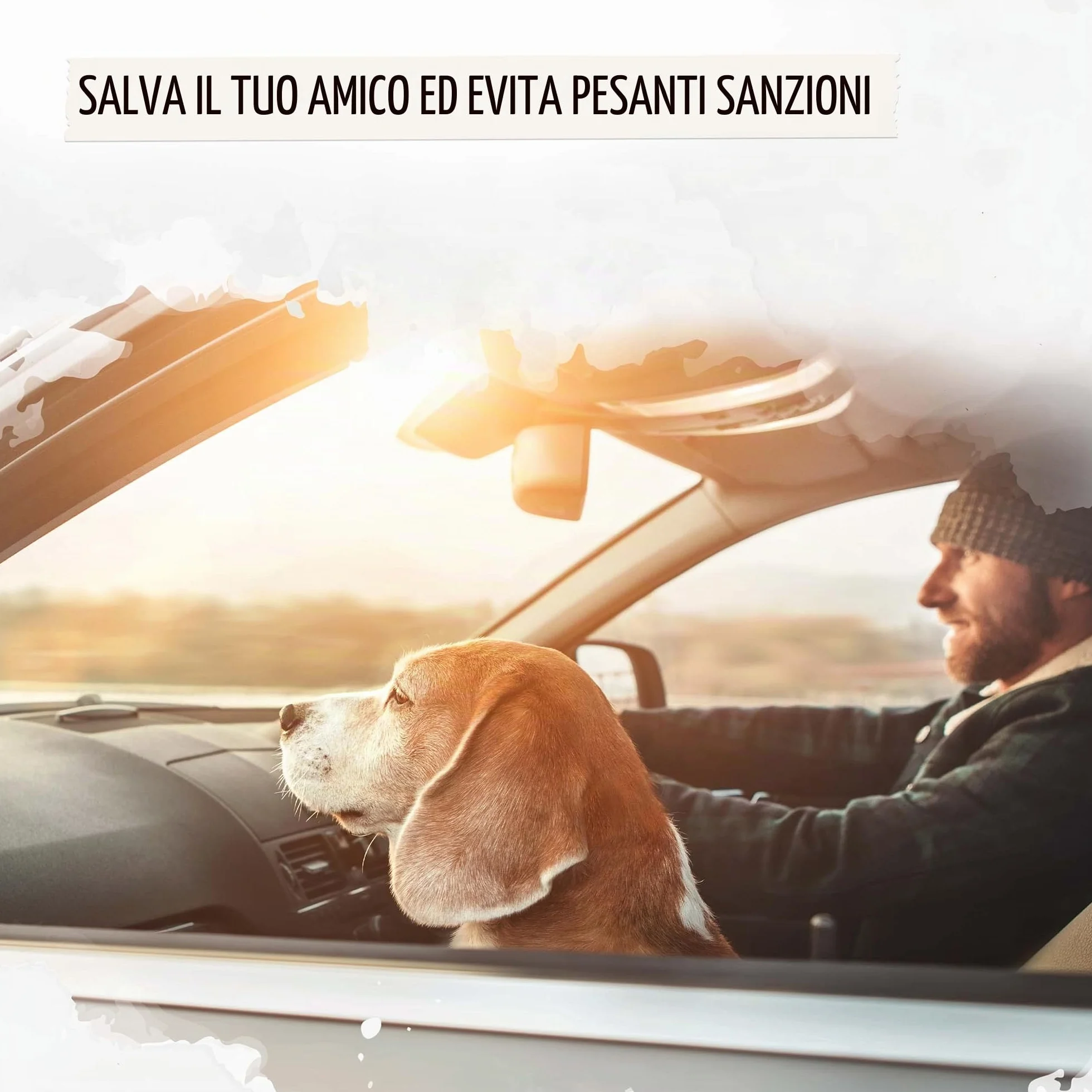 Rudelkönig Cintura di Sicurezza Cani Auto Elastica Regolabile Compatibile Tutti i Tipi di Auto