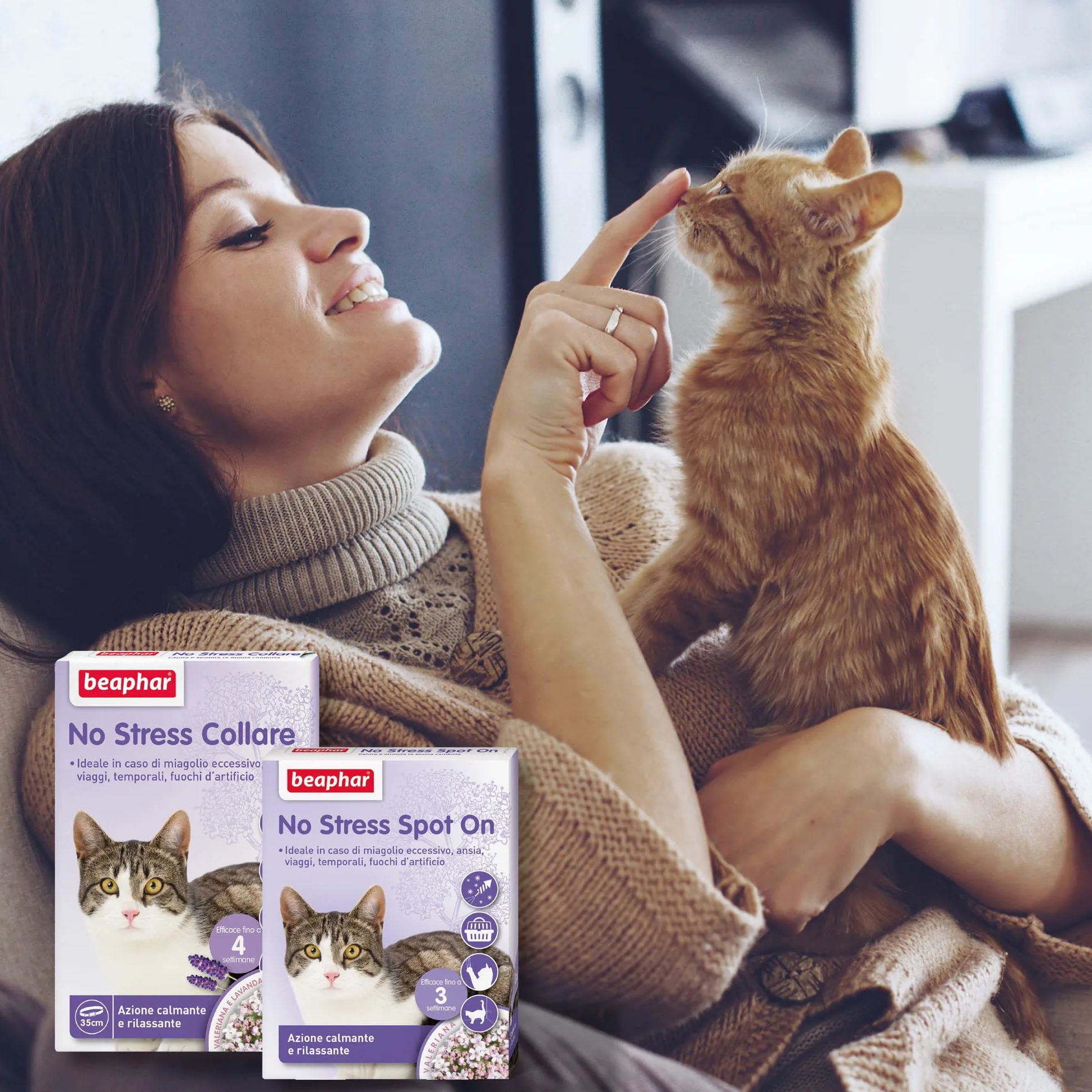 Beaphar No Stress Spot On Gatto, Calmante Gatto, 3 Pipette, Azione Calmante e Rilassante
