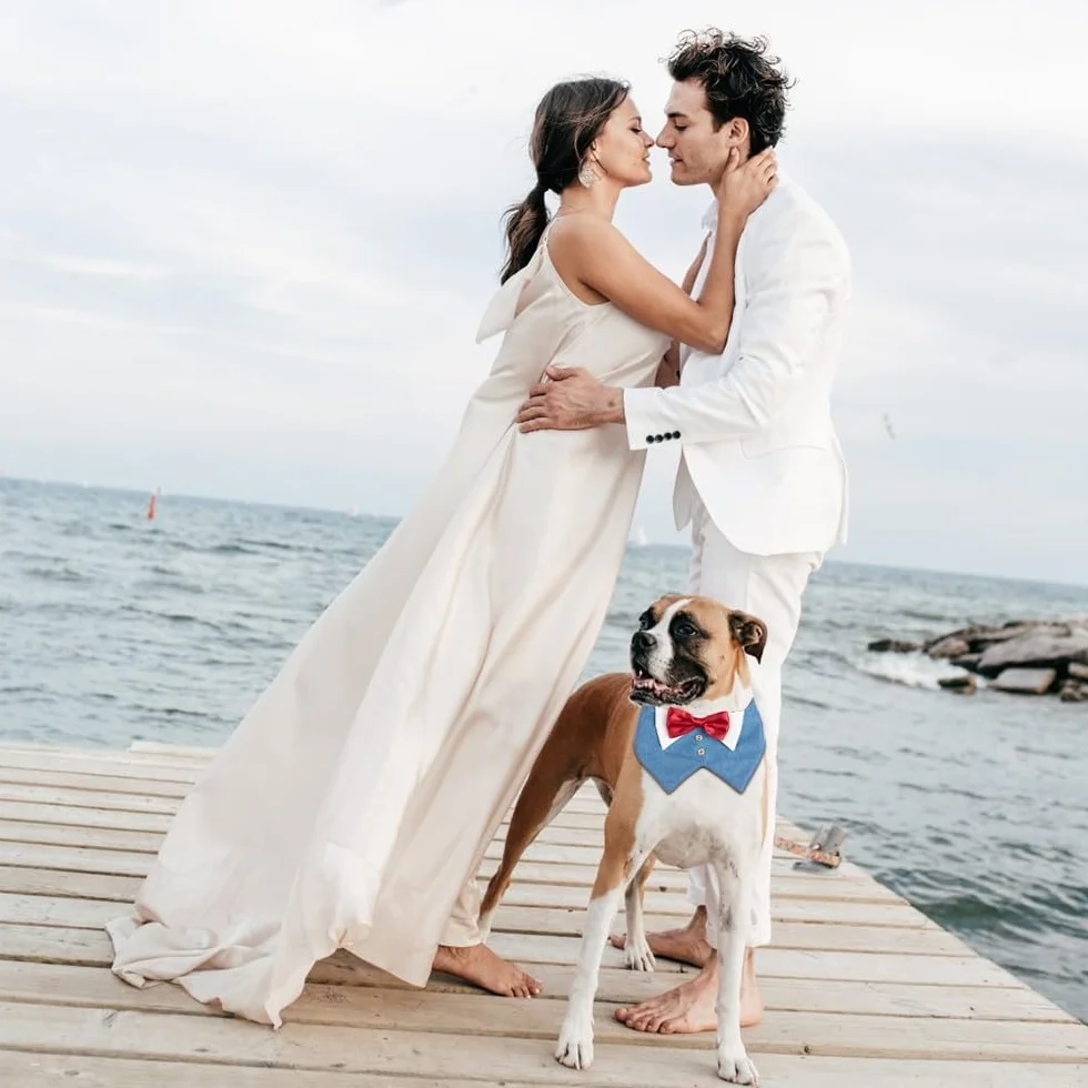 Bandana da Smoking per Cani, Collare Formale con Papillon Rosso per Cane Piccola Media Grande Festa Natale Cosplay Matrimonio