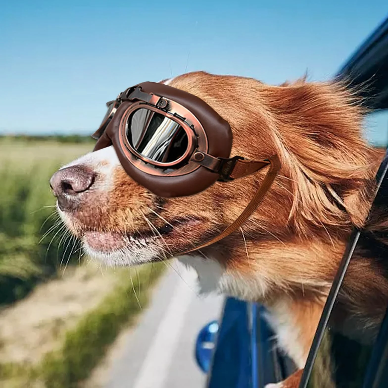 Occhiali da Sole per Cani, Retrò Occhiali Cane, Protezione UV Occhialis da Sole Cane, Fascia Elastica Regolabile, Pieghevole Pet Dog Occhialis Protezione, Adatto a Cani di Taglia Media e Grande