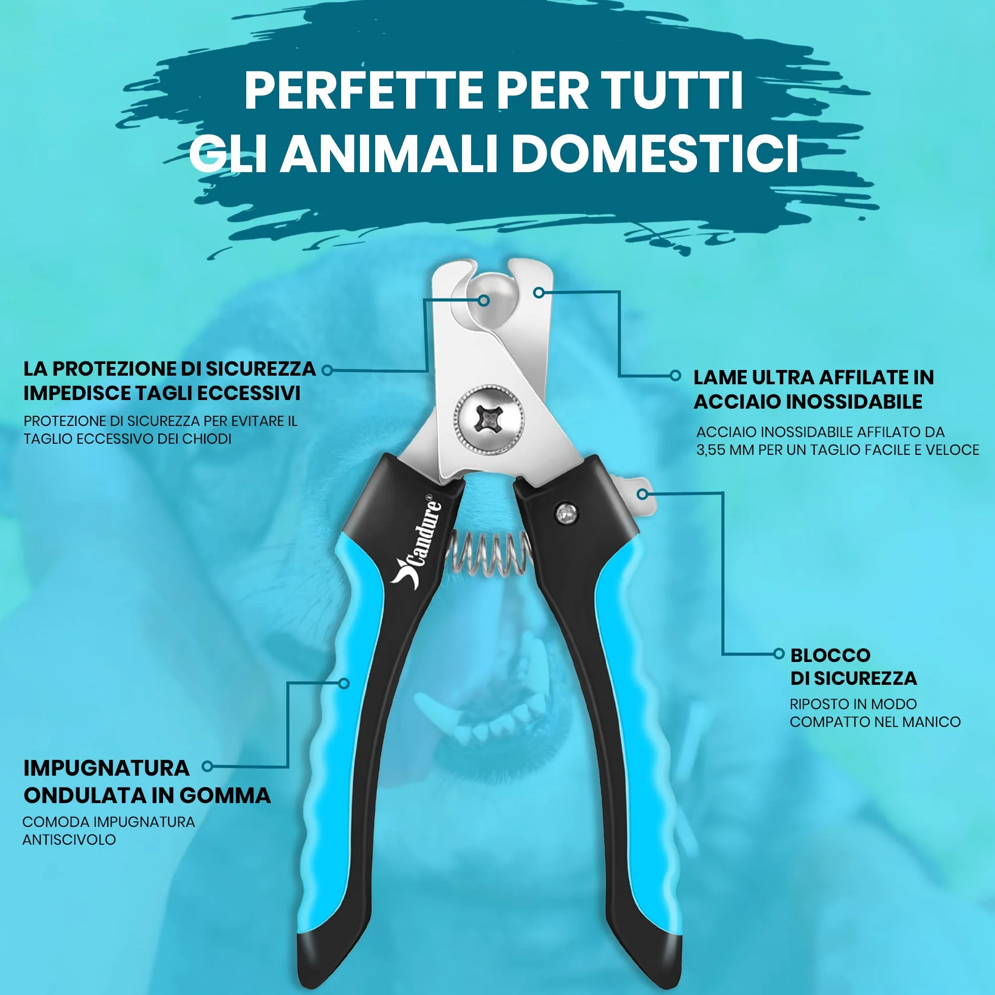 CANDURE Tagliaunghie Cane e Gatto con Guardia per Protezione Cani - Acciaio Inossidabile Tagliaunghie Gatto Professionale per Veterinaria e Uso Personale (Blu, Grande a Medio)