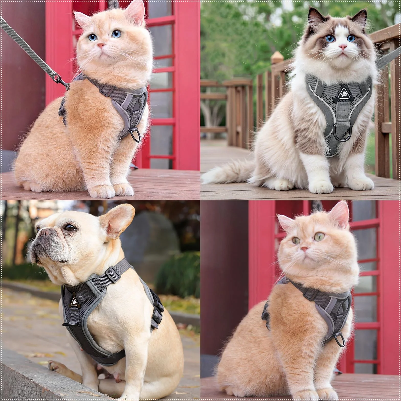 TYXHXTF Pettorina Gatto con Guinzaglio per Gatti Allungabile, Imbracatura per Gatti Antifuga, con Riflettente, Morbido Traspirante Pettorina Gatto, per Cuccioli Passeggiate all'aperto (Grigio)