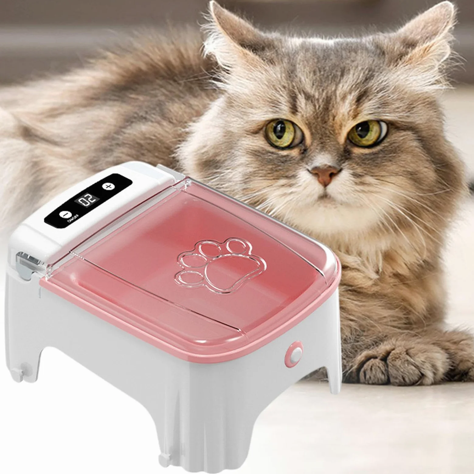 Distributore Automatico Cibo per Felini Elettrica Cibo Secco | Funzionamento Automatico Mangiatoia Elettrica Umido Secco Per Gatti Cuccioli Indoor