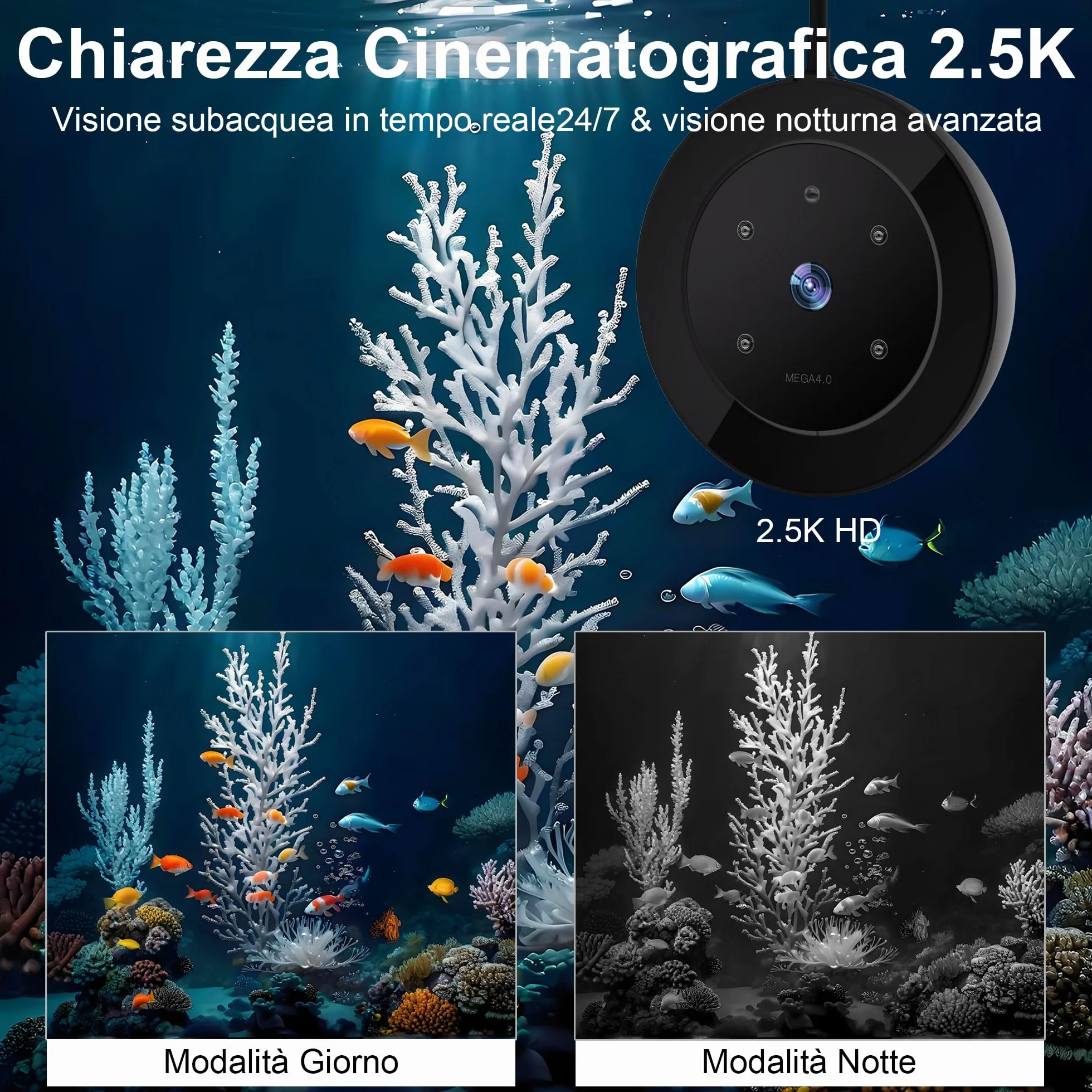Mangiatoia Automatica WiFi Smart, Camera 2.5K, App 2.4/5G, Dosaggio 0,2g Cura Vacanze, Serbatoio 230ML Anti-Appannamento, Timer, Notifiche, Acquario Marino, Acqua Dolce e Tartarughe