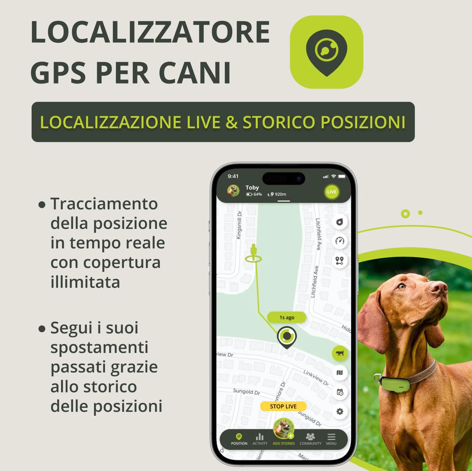 Kippy DOG | GPS per Cani - Localizzatore per Cani Impermeabile con GPS per Collare - Tracker di Attività e Salute del Tuo Cane, con Recinto Virtuale e Notifiche - Colore Verde