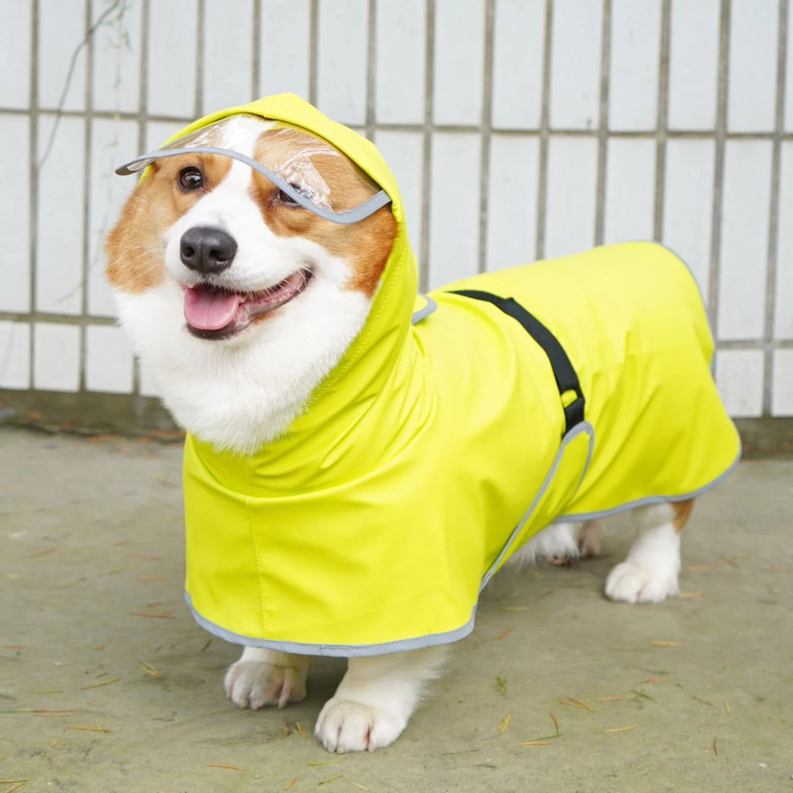 Impermeabile per Animali Domestici Impermeabile per Animali Domestici Impermeabile per Cucciolo | Abbigliamento Riflettente per Animali Domestici con Fori di Corda, Impermeabile per Cucciolo