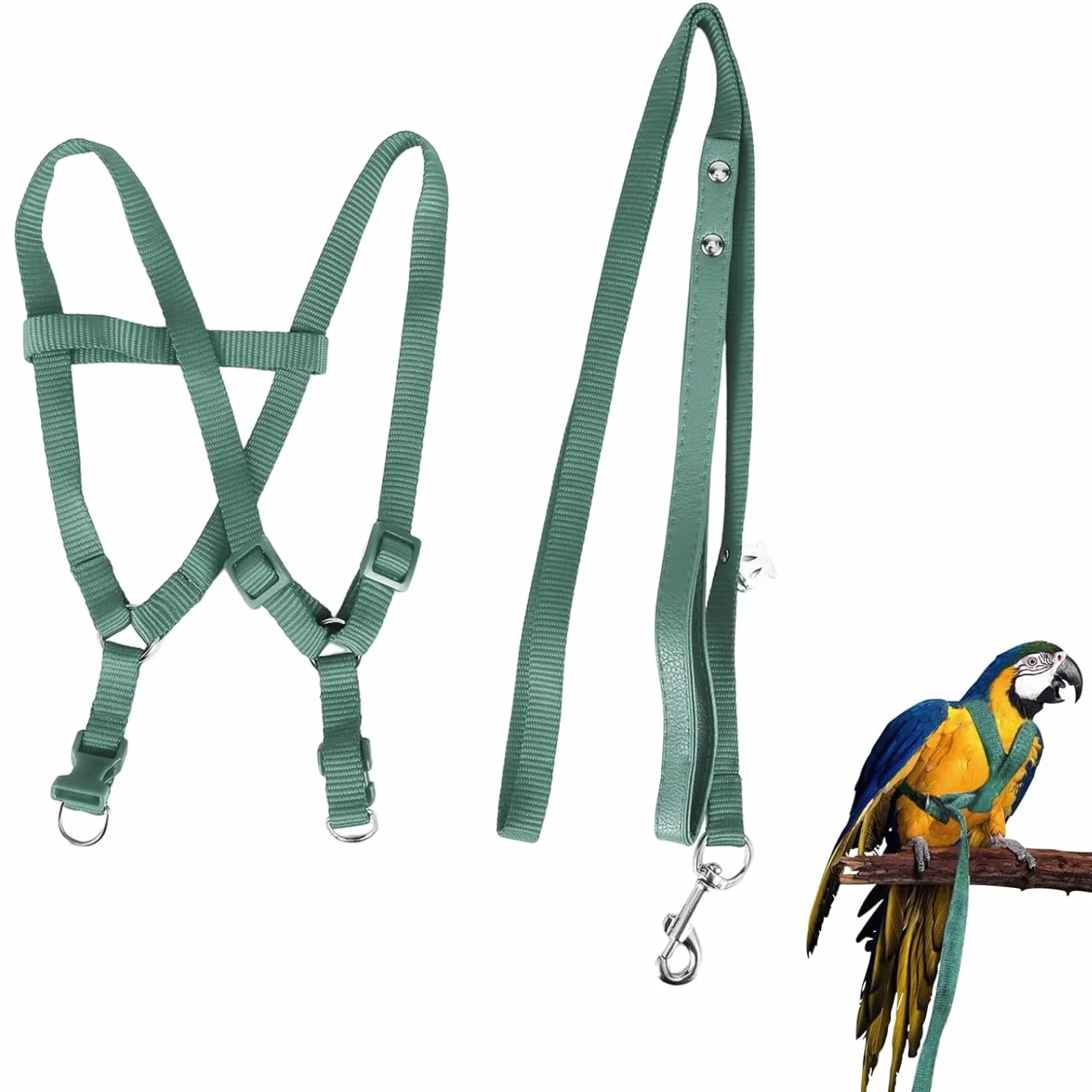 Arnese per Pappagallo e Uccello, Guinzaglio Regolabile Antimorso in Nylon Traspirante, Arnese di Sicurezza Anti-Fuga per Passeggiate Esterne e Allenamento di Volo