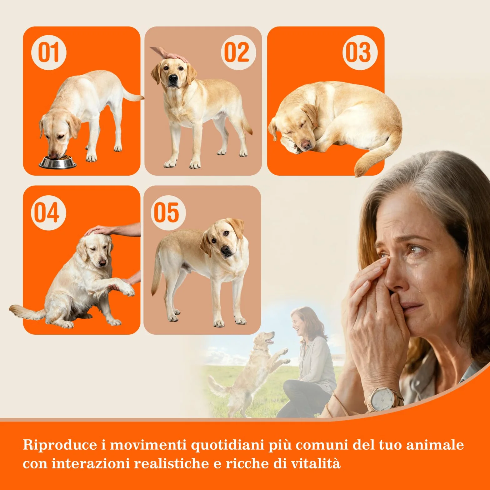Scatola Commemorativa Olografica Personalizzata per Animali Domestici – Cornice in Resina con Foto e Incisione – Regalo Speciale per Ricordare il Tuo Animale, Perfetto per Amici, Familiari