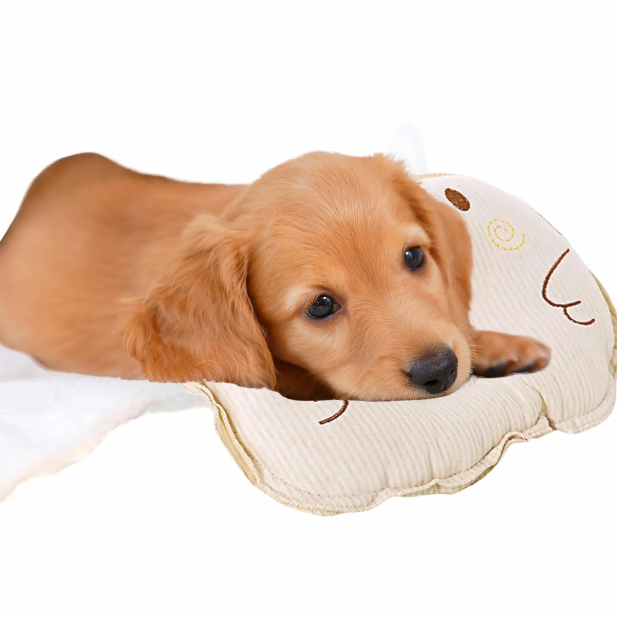 Piccolo cuscino per gatti e cani, giocattolo – morbido cuscino per animali domestici – morbido, soffice e confortevole, ideale per trasportino, divano, cesto e riposo quotidiano interno