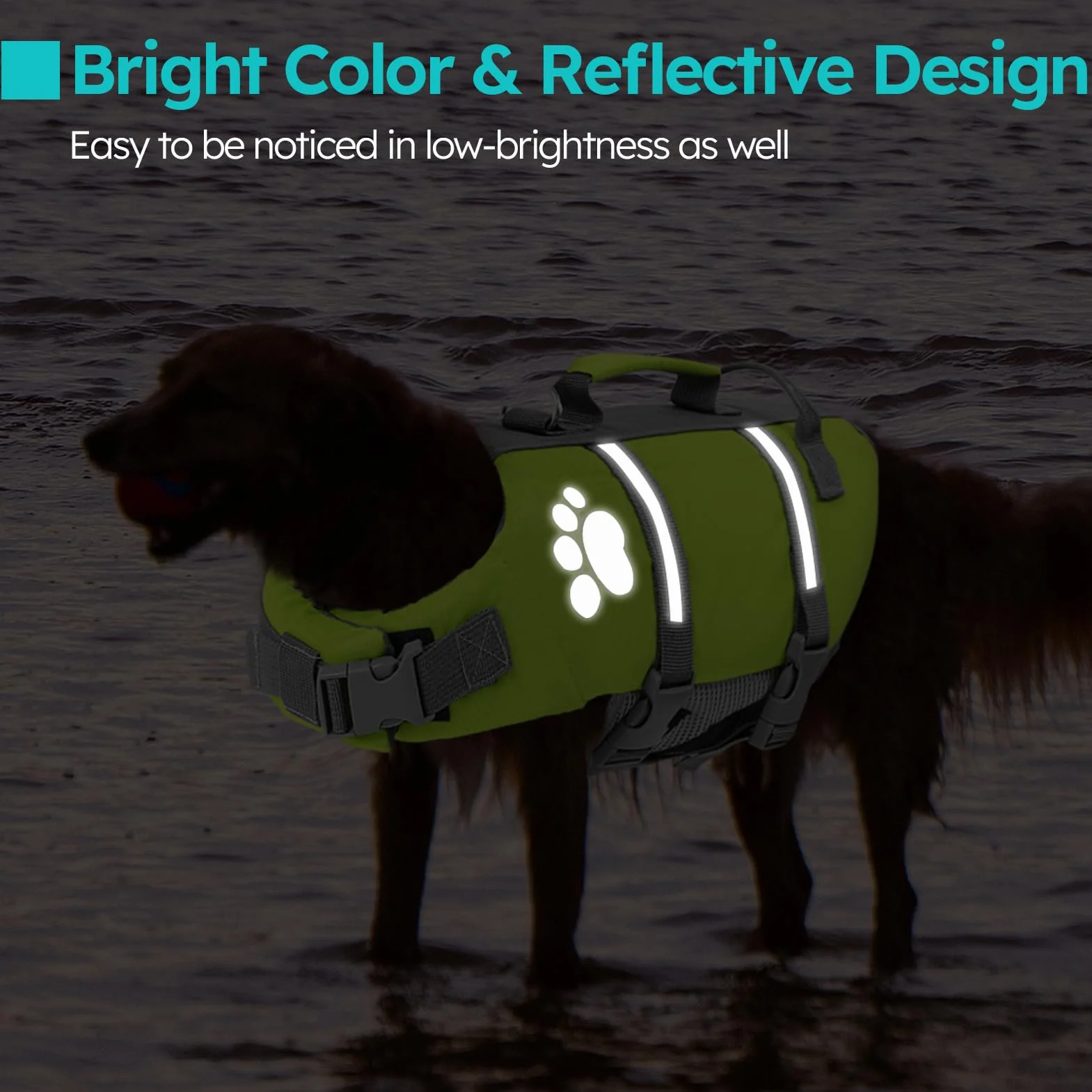 Queenmore Salvagente Cane Taglia Piccola Regolabile Riflettente Per Cani Piccoli Nuotare Kayak Paddleboarding (S, Verde)