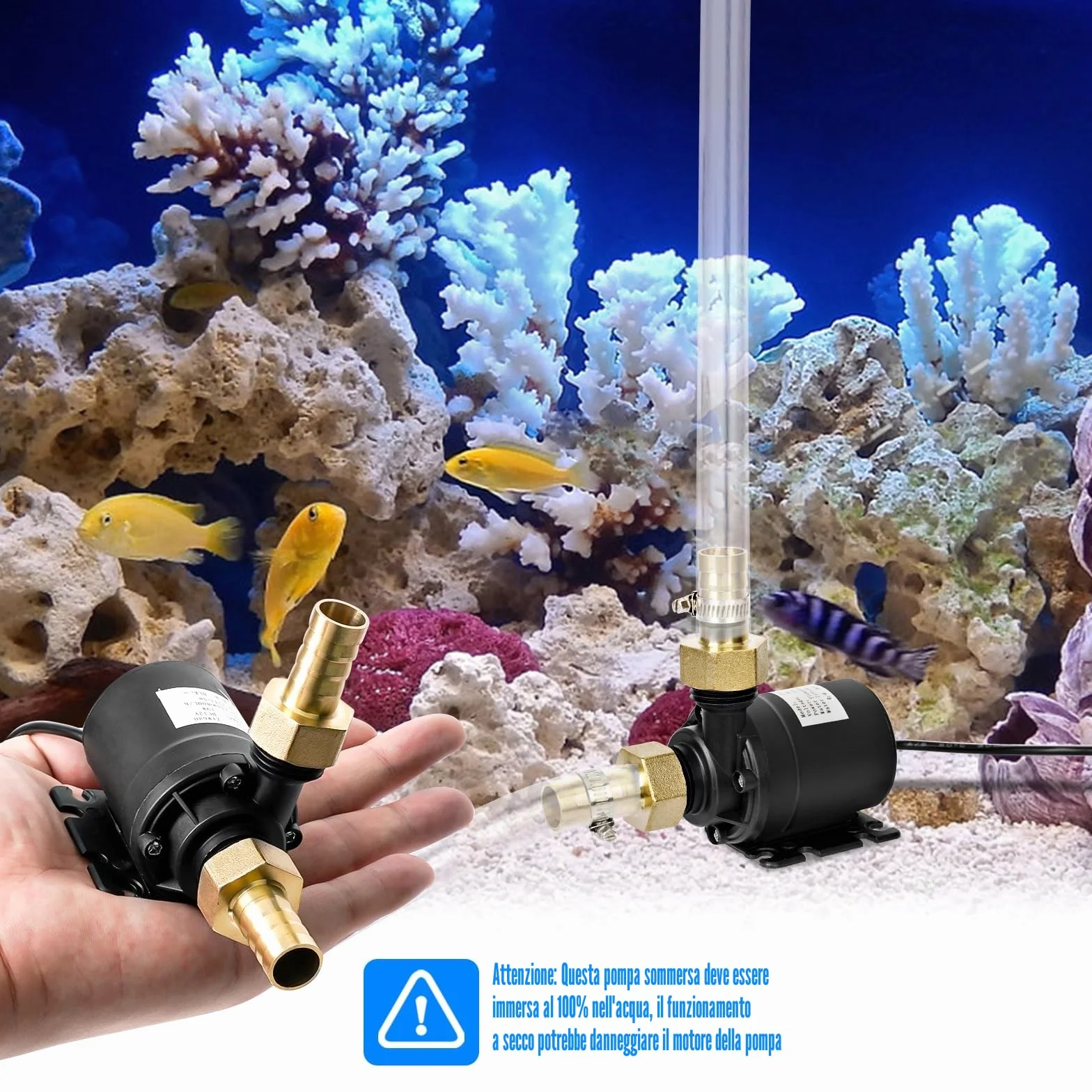 Portatile Mini Pompa Acqua, Pompa Acqua DC 12V 800L/H 5M Pompa Sommersa, Ultra-Quiet Pompa Immersione per Acquario Fontana Laghetto Irrigazione Giardino Piscina