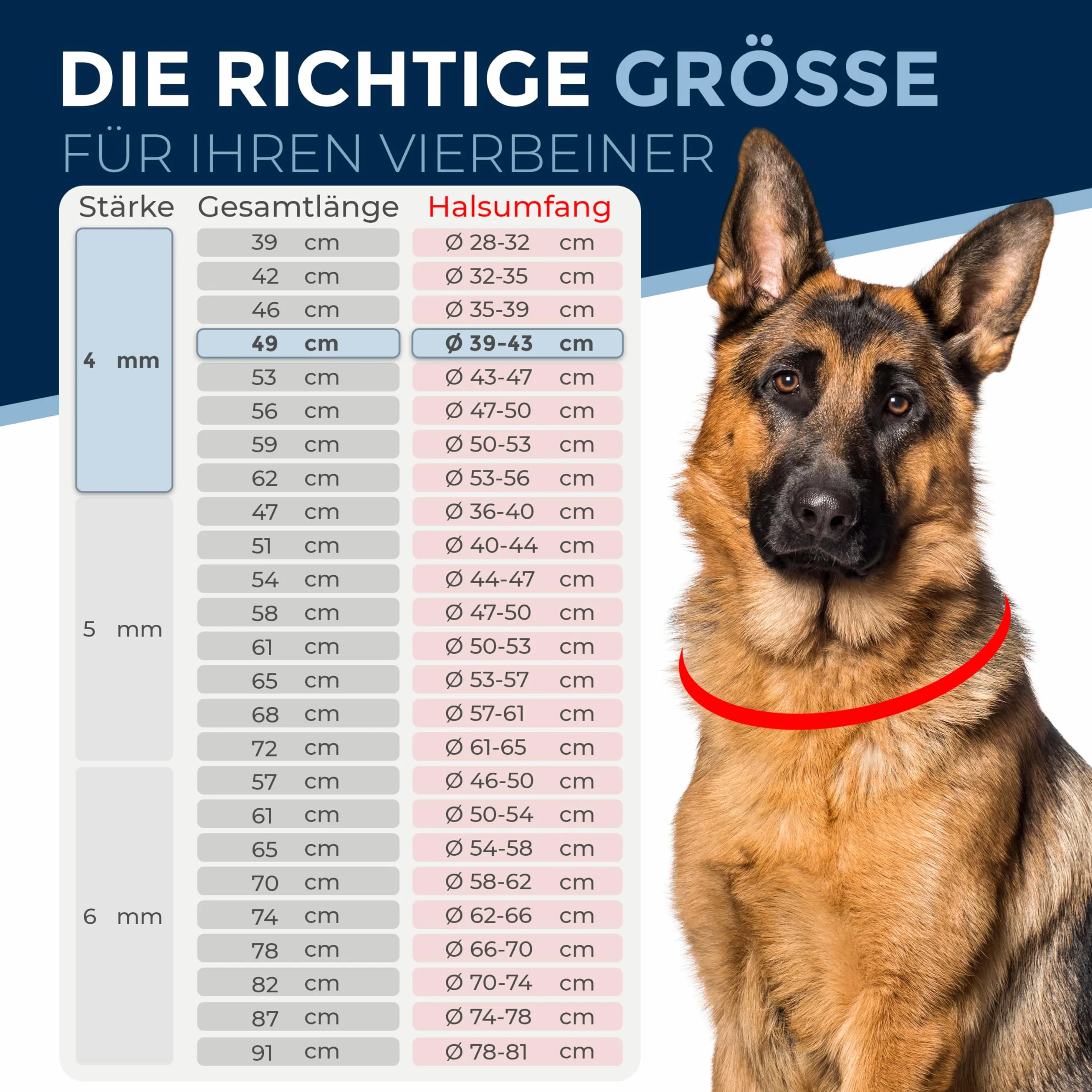 Collare cane acciaio inox A4 V4A Ø6 mm – lunghezza totale 74 cm – con moschettone – maglia lunga per scorrimento fluido – per circonferenza collo 62–66 cm