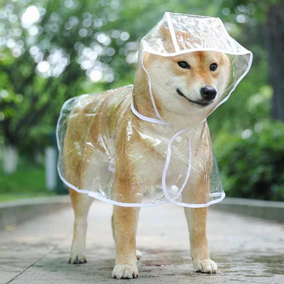 Cappottino catarifrangente per Cani Gatto con cappuccio, Regolabile PVC trasparente poncho impermeabile ultraleggero, Per cani di piccola taglia（bianca, L）
