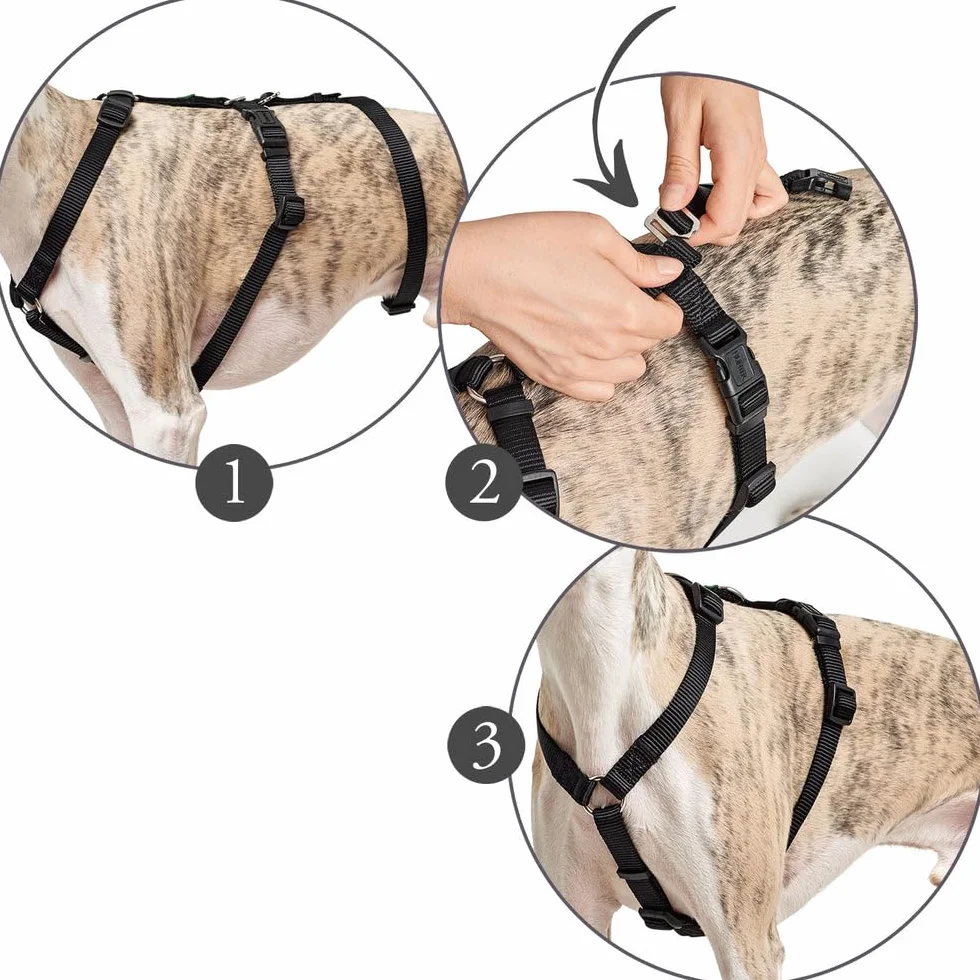 Hunter Vario Rapid Imbracatura anti-panico per cani in nylon aderente resistente agli strappi