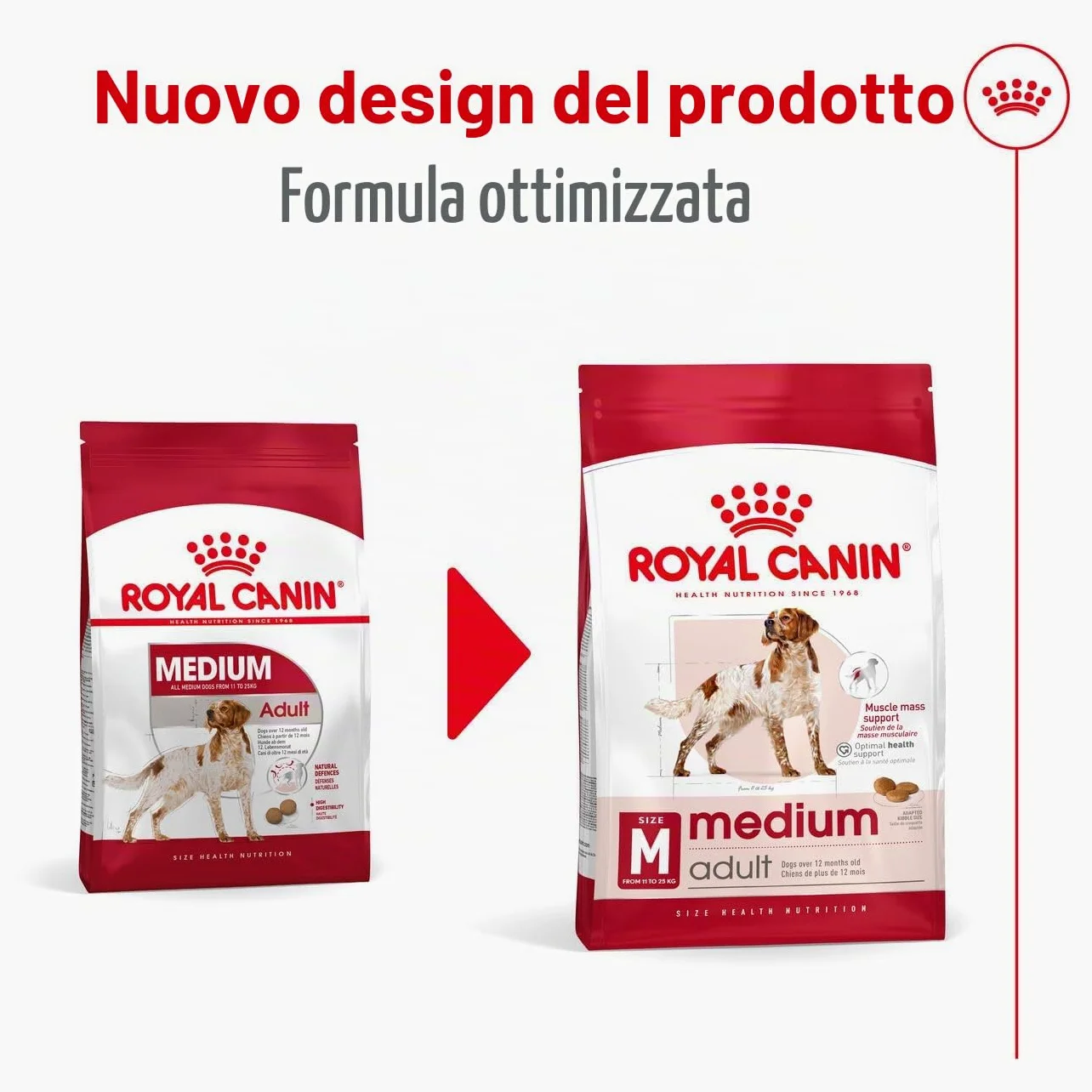Royal Canin C-08402 S.N. Adulto Medio - 4 kg