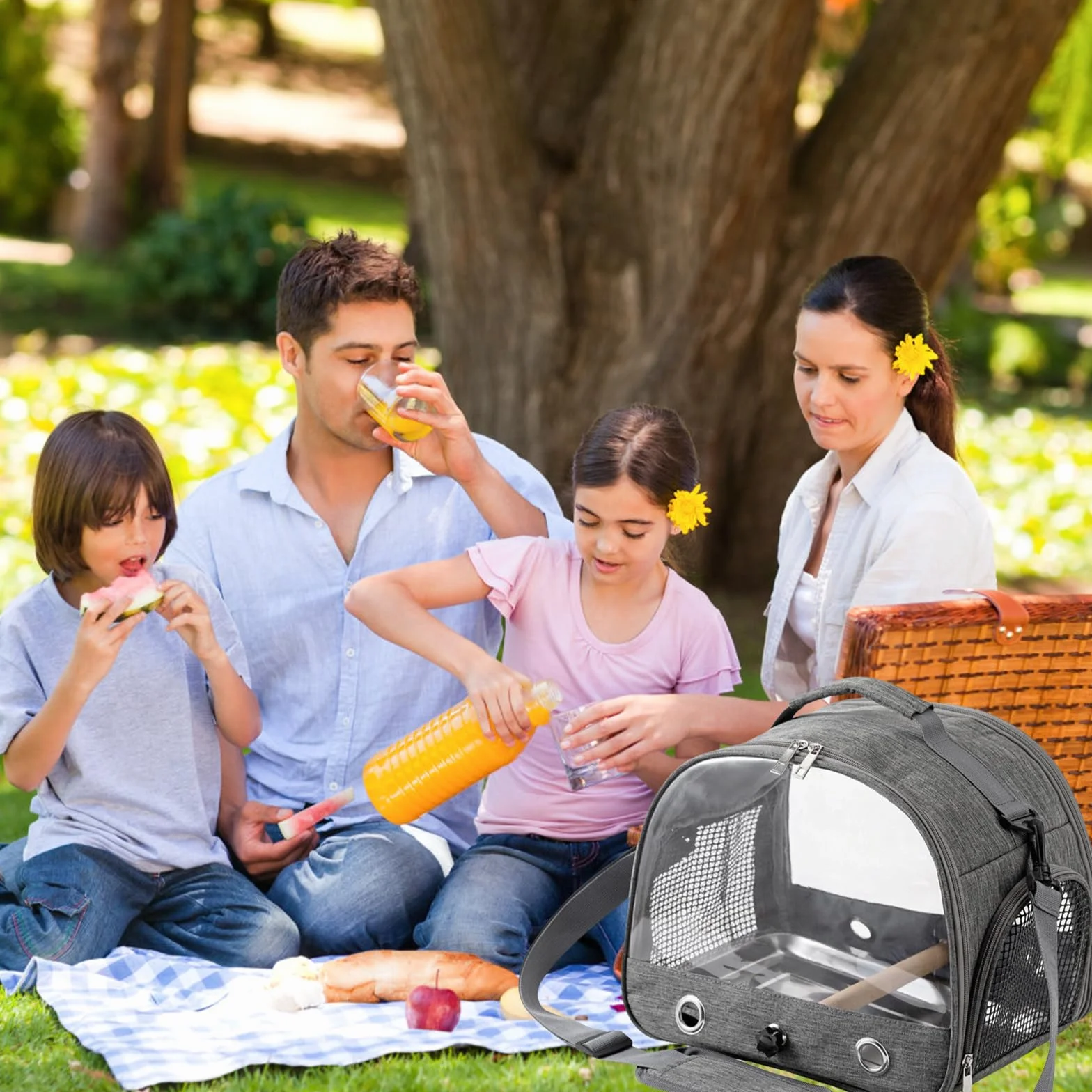Borsa da viaggio per uccelli, per piccoli uccelli, pieghevole, per pappagalli, pappagalli, parrocchetti, piccoli animali, per viaggi, escursioni, campeggio (grigio)