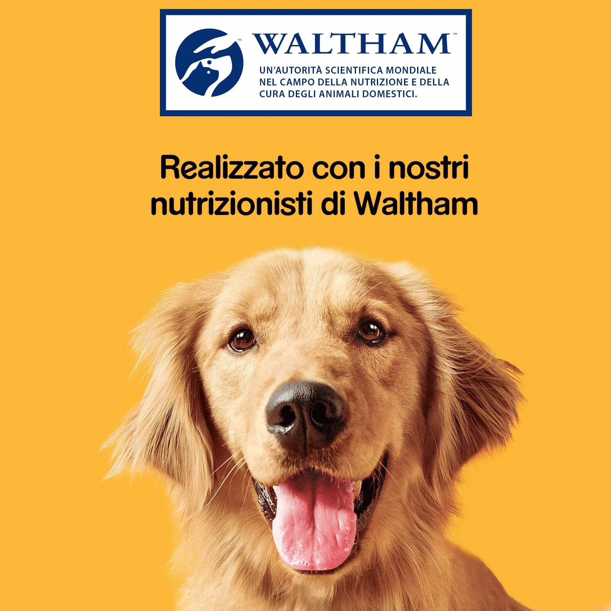 Pedigree Dentastix Fresh 112 Snack per la Igiene Orale (Cane Piccolo 5-10 kg) 440 g 28 Pezzi - 4 Confezioni da 28 Pezzi (112 Pezzi totali)