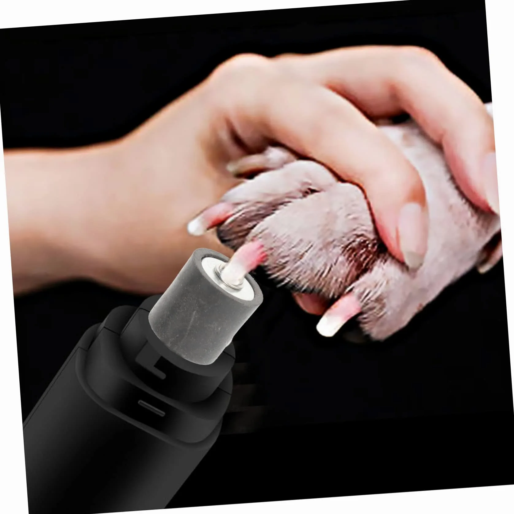 INOOMP 3 Set di Tagliaunghie per Animali Domestici Lima per Unghie per Cani Kit Completo di Strumenti per Lucidare Le Unghie degli Animali Domestici