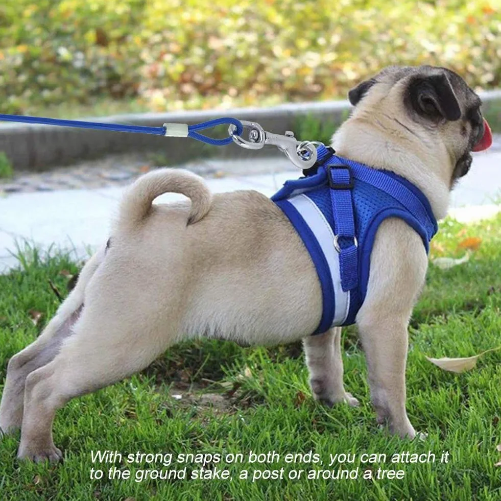 Dog Chain Extendable for Pets Long Steel Wire Dog Rope with Double Clips, Chew Resistant Tie Out for Picnic, Camping, Outdoor Use Secure Animal Safety with Durable Cord (Blue)