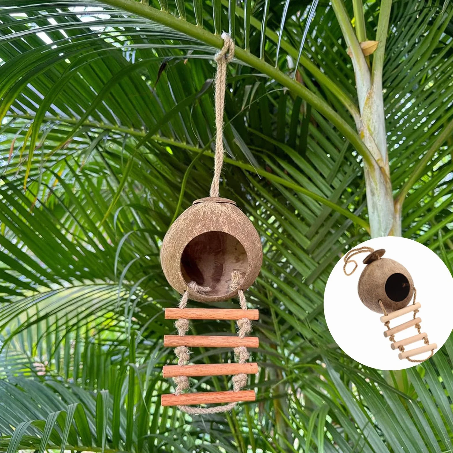 Nido di Cocco per Uccelli Decorativo Resistente Alle Intemperie per Piccoli Uccelli Rettili