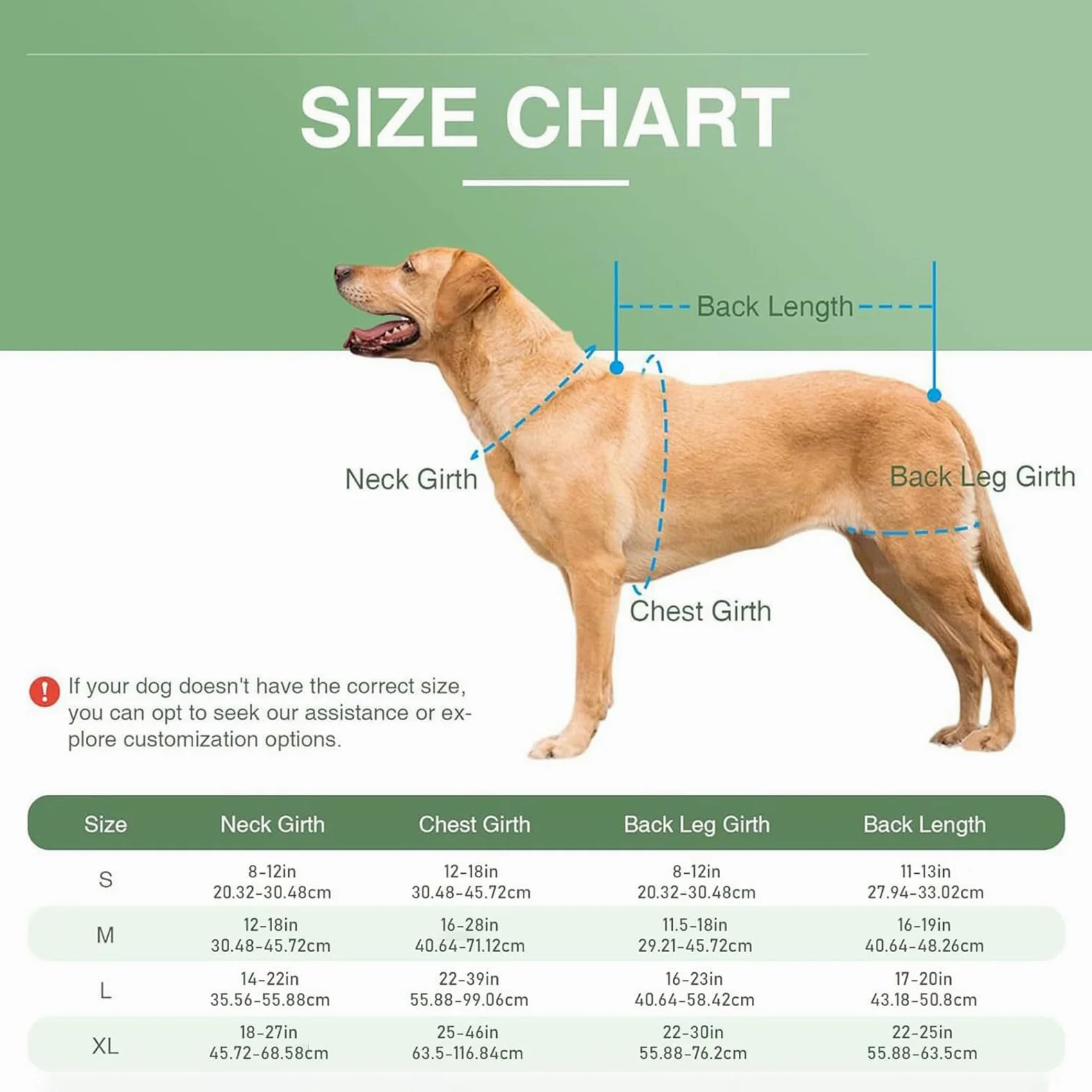 Supporto per la schiena per cani, regolabile, in neoprene, 450 g, imbracatura di supporto per la riabilitazione del cane, per le scale, camminare, jogging, casa, all'aperto, viaggi