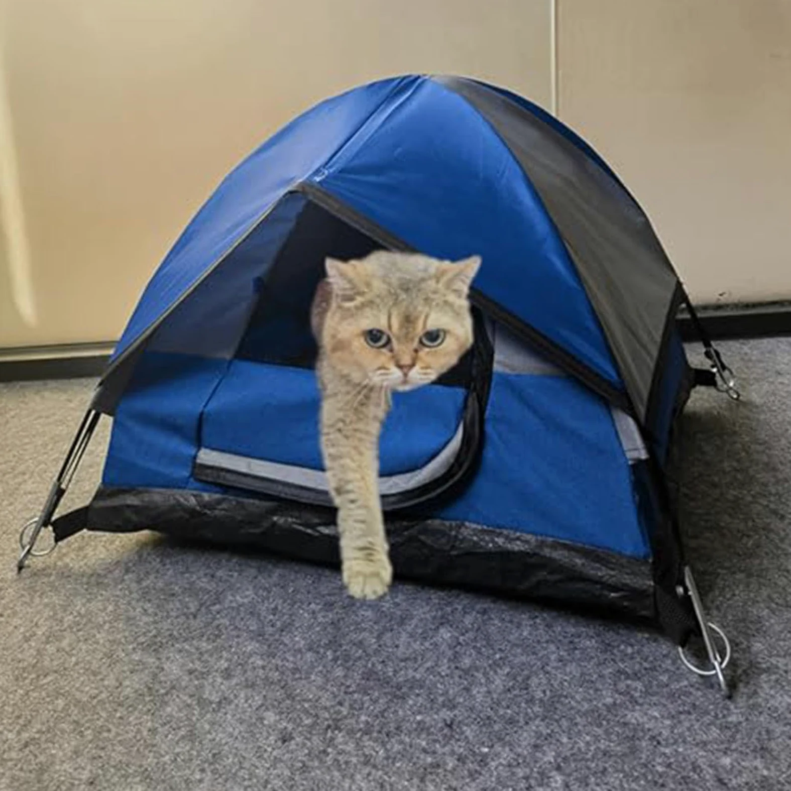 Generico Tenda da per gatti, Tenda da per gatti da per | Tenda per gatti impermeabile Tenda per animali domestici da esterno per cuccioli, cani, animali di piccola taglia