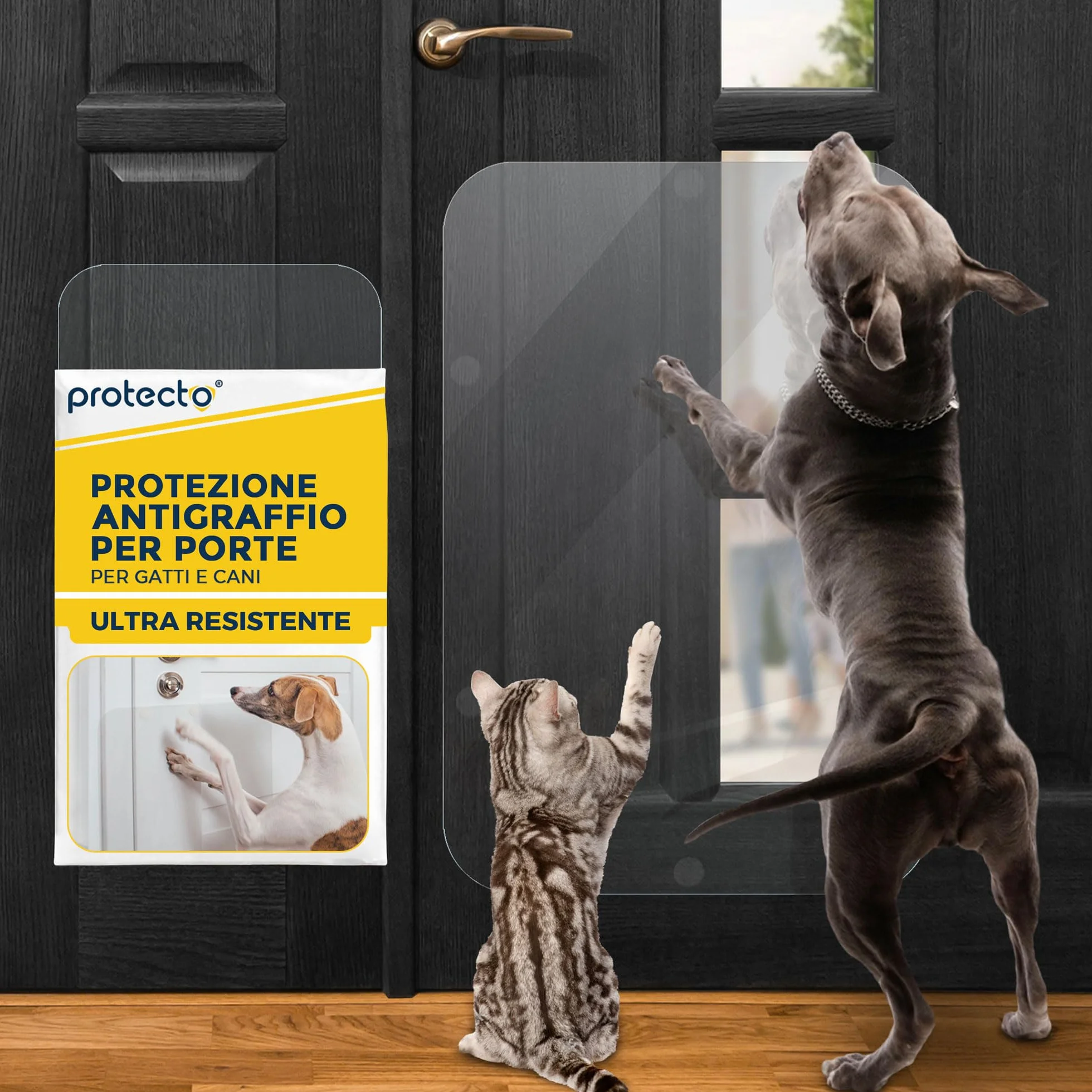 Protecto Proteggi Porta Graffi Cane Gatto 75 x 50 cm Protezione Antigraffio Trasparente