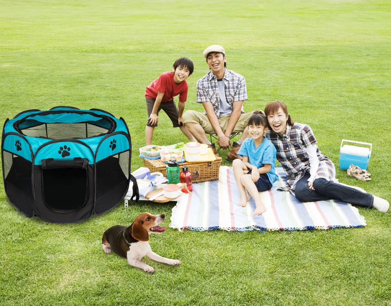 Recinto per Cani da Interno, Pieghevole e Portatile Kennel Cane,Gabbia per Cani,Usare all'Interno e all'Esterno,con Borsa di Trasporto,(Blu,S)