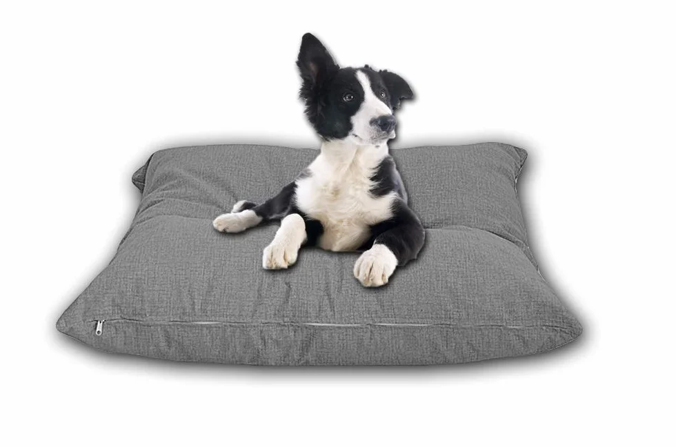 Cieffepi Home Collections FIDO - Cuscino sfoderabile per cani, gatti e animali domestici in vari colori e misure (60 x 60 x 15 cm, Grigio)