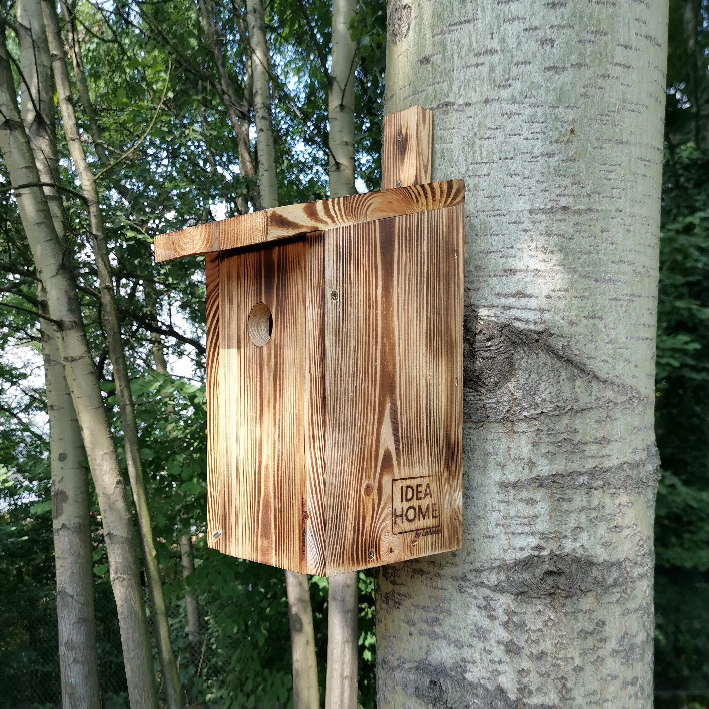 LEVIATAN PARIDAE Nidi Naturali per Cinciallegra Foro 33 mm Legno Massello Casette Uccelli Resistenti Intemperie
