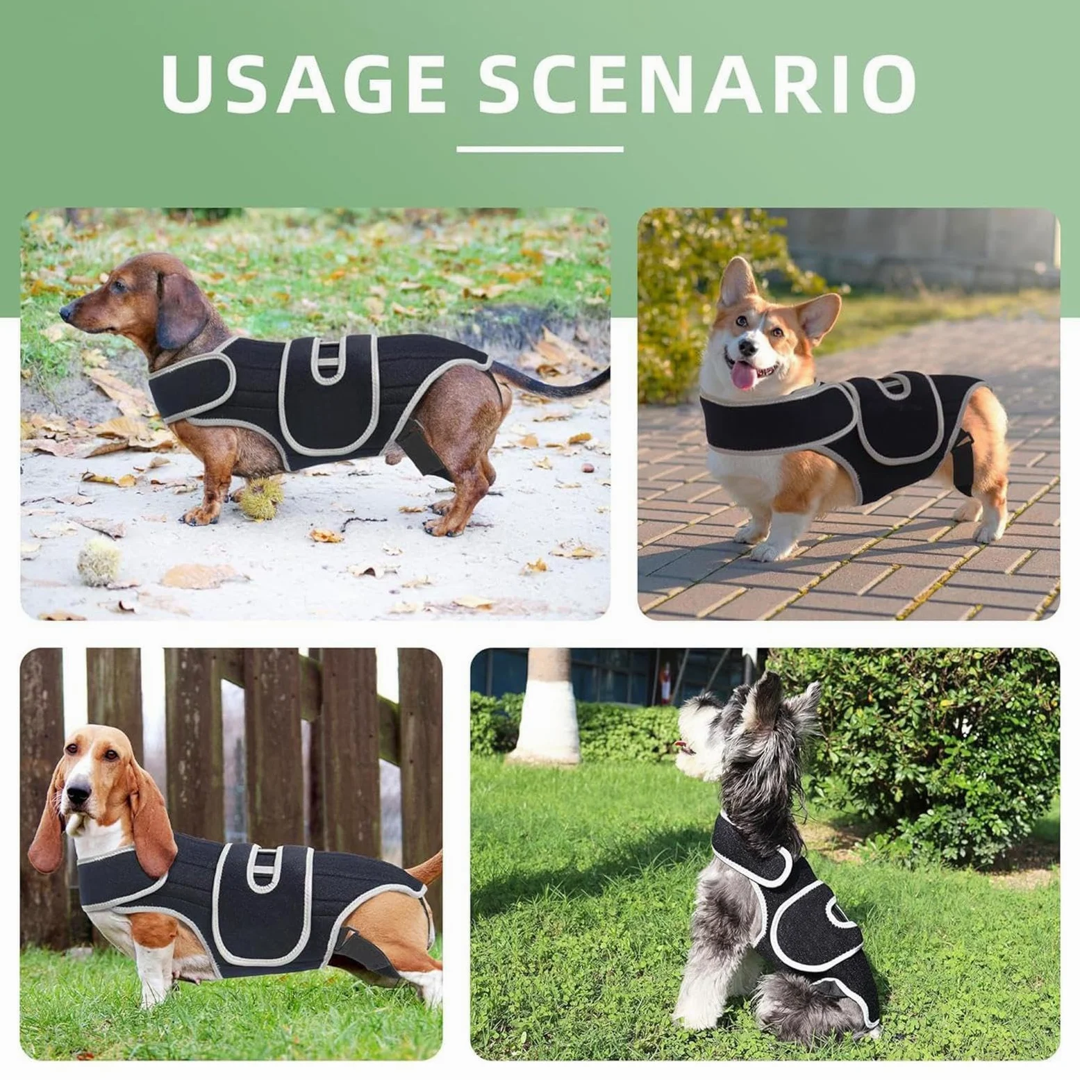 Supporto per la schiena per cani, regolabile, in neoprene, 450 g, imbracatura di supporto per la riabilitazione del cane, per le scale, camminare, jogging, casa, all'aperto, viaggi