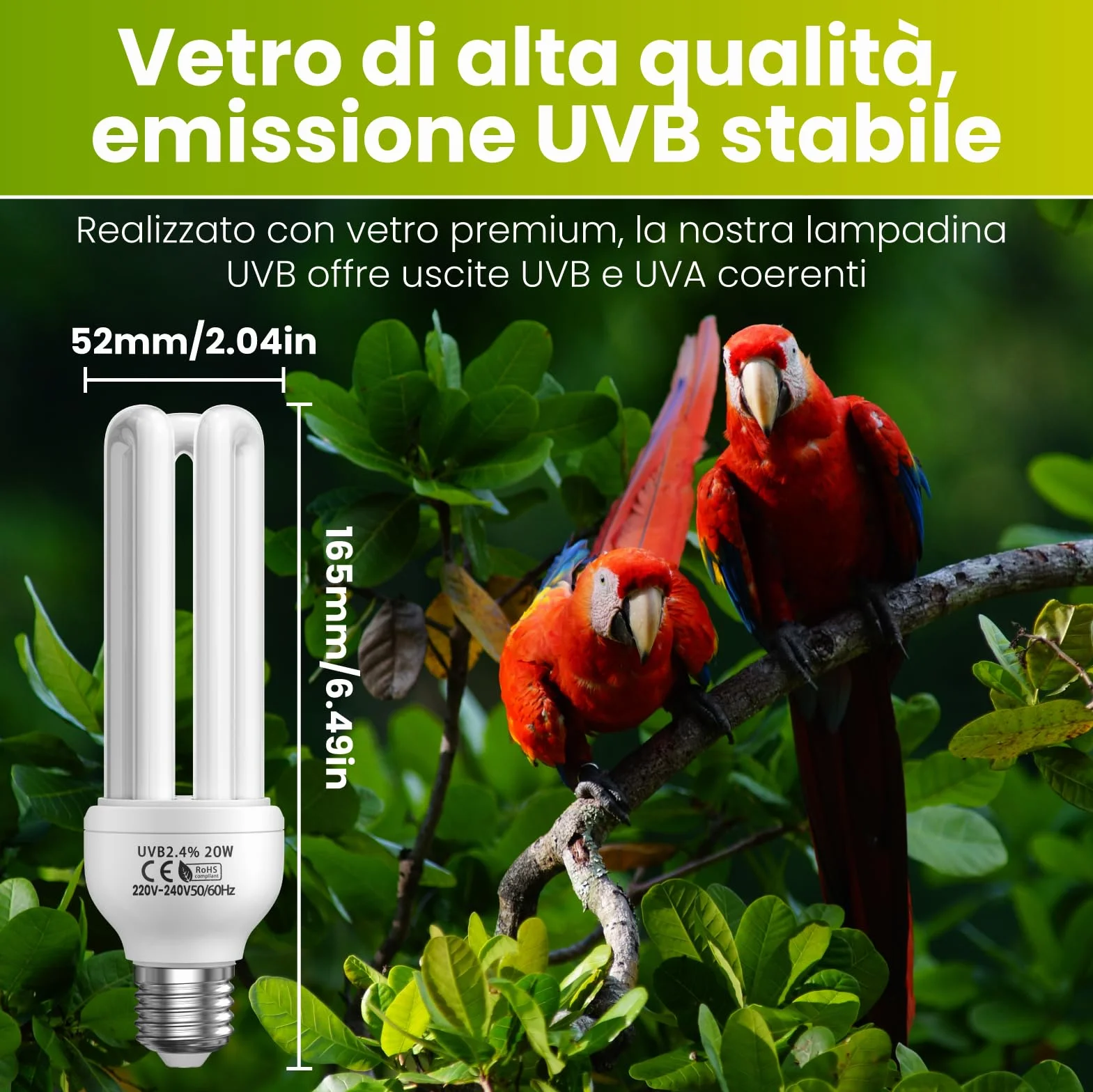 GlowUp UVB 2.4 Lampadina per uccelli 20W E27 UVA UVB pappagalli rettili