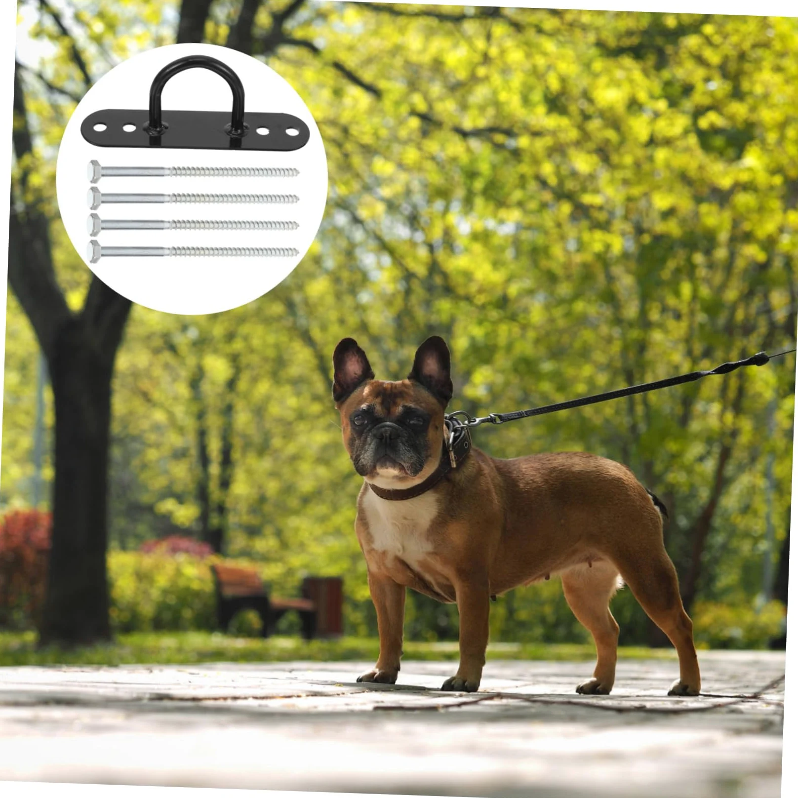 SUPVOX Picchetto Fissaggio Cane all’Aperto in Acciaio al Carbonio Nero | Cani Grandi, Uso in Giardino, Resistente alla Pioggia, Adatto anche Tenda e Barbecue