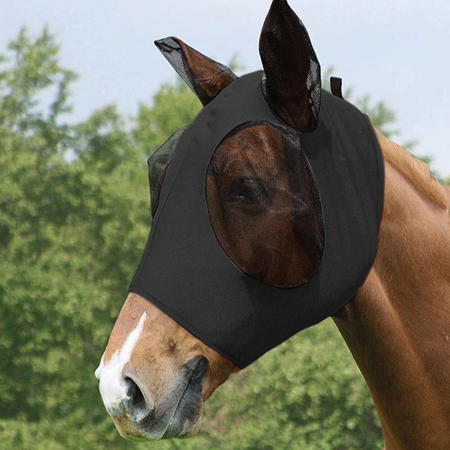 Maschera per cavalli con paraorecchie rete traspirante anti-UV mosca zanzare insetti elastica nero