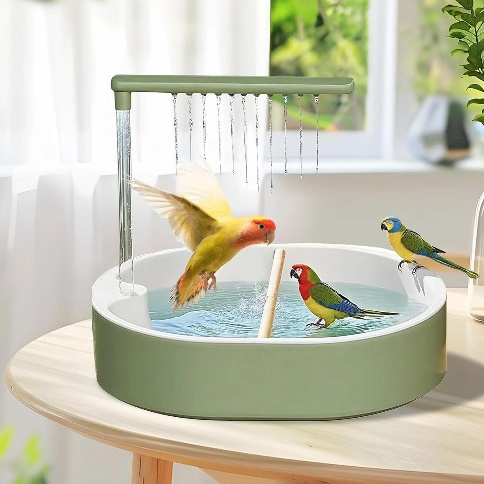 Vasca da Bagno Automatica per Pappagalli Uccello