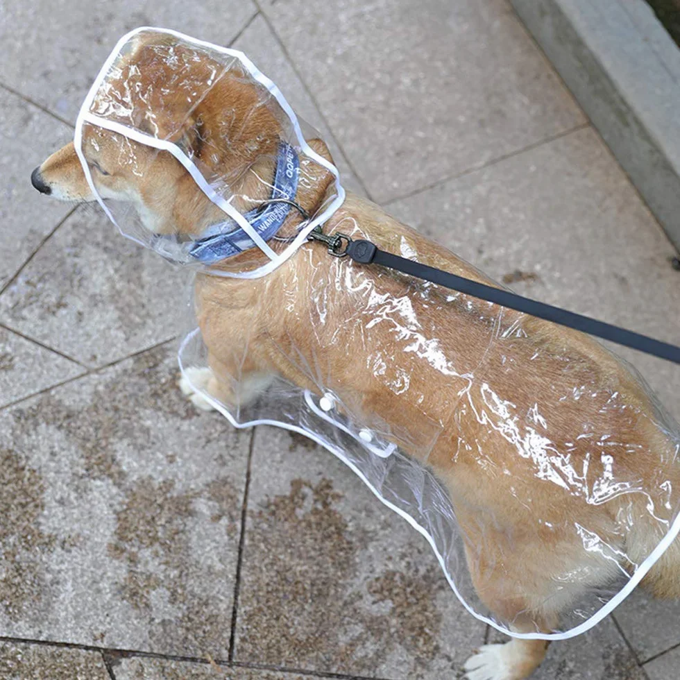 Cappottino catarifrangente per Cani Gatto con cappuccio, Regolabile PVC trasparente poncho impermeabile ultraleggero, Per cani di piccola taglia（bianca, L）