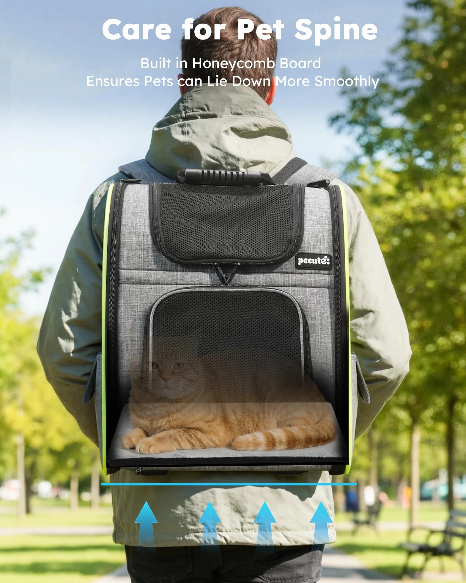 Pecute Zaino per Cani Gatti Estensibile, Trasportino Portatile, Grigio