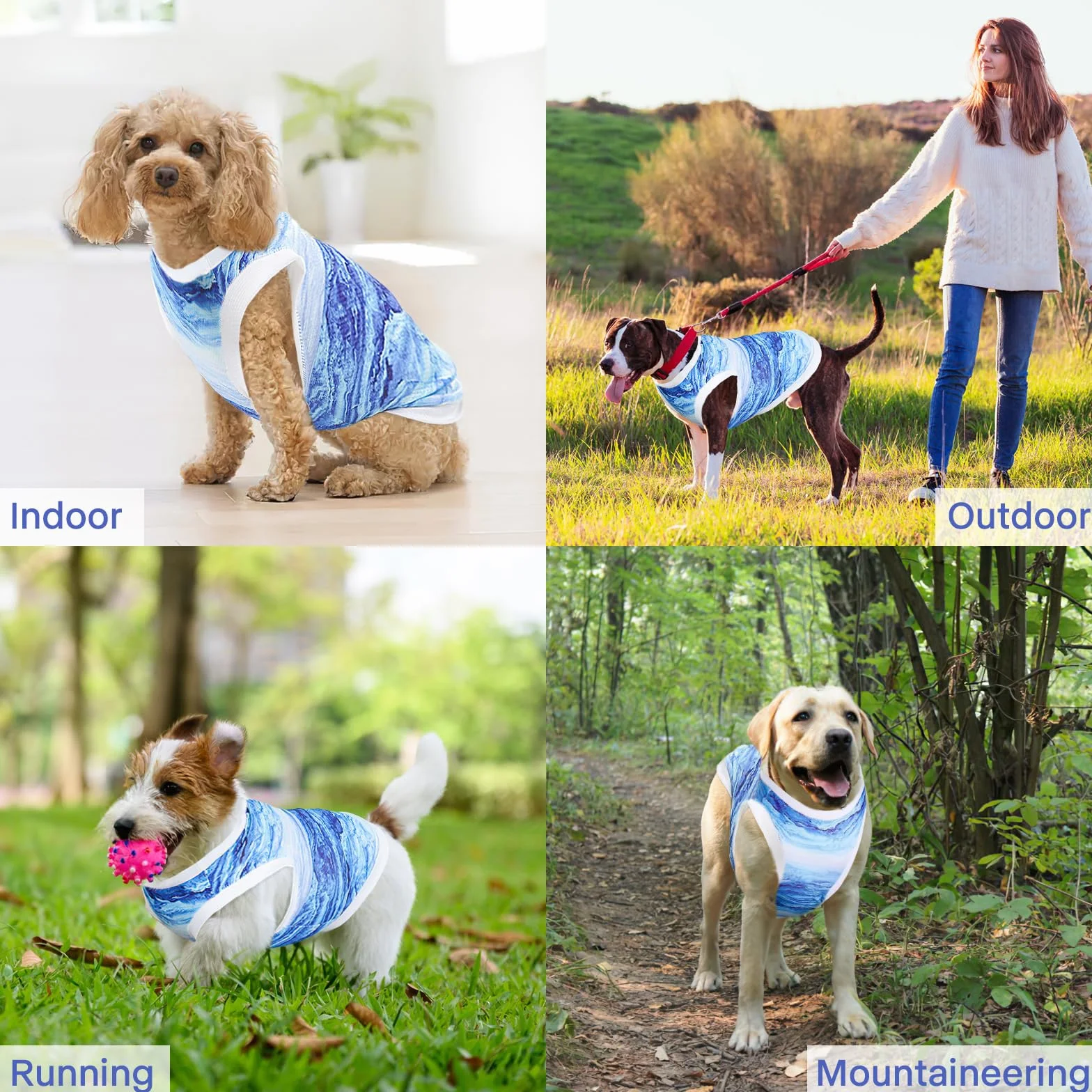 Gilet Rinfrescante per Cani Giacca Raffreddamento Tessuto Istantaneo Microfibra Blu XL