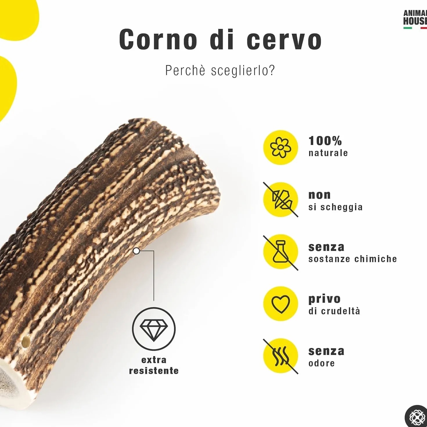 Corna di Cervo Premium per Cani Sezionate 100% Naturali Resistenti XS