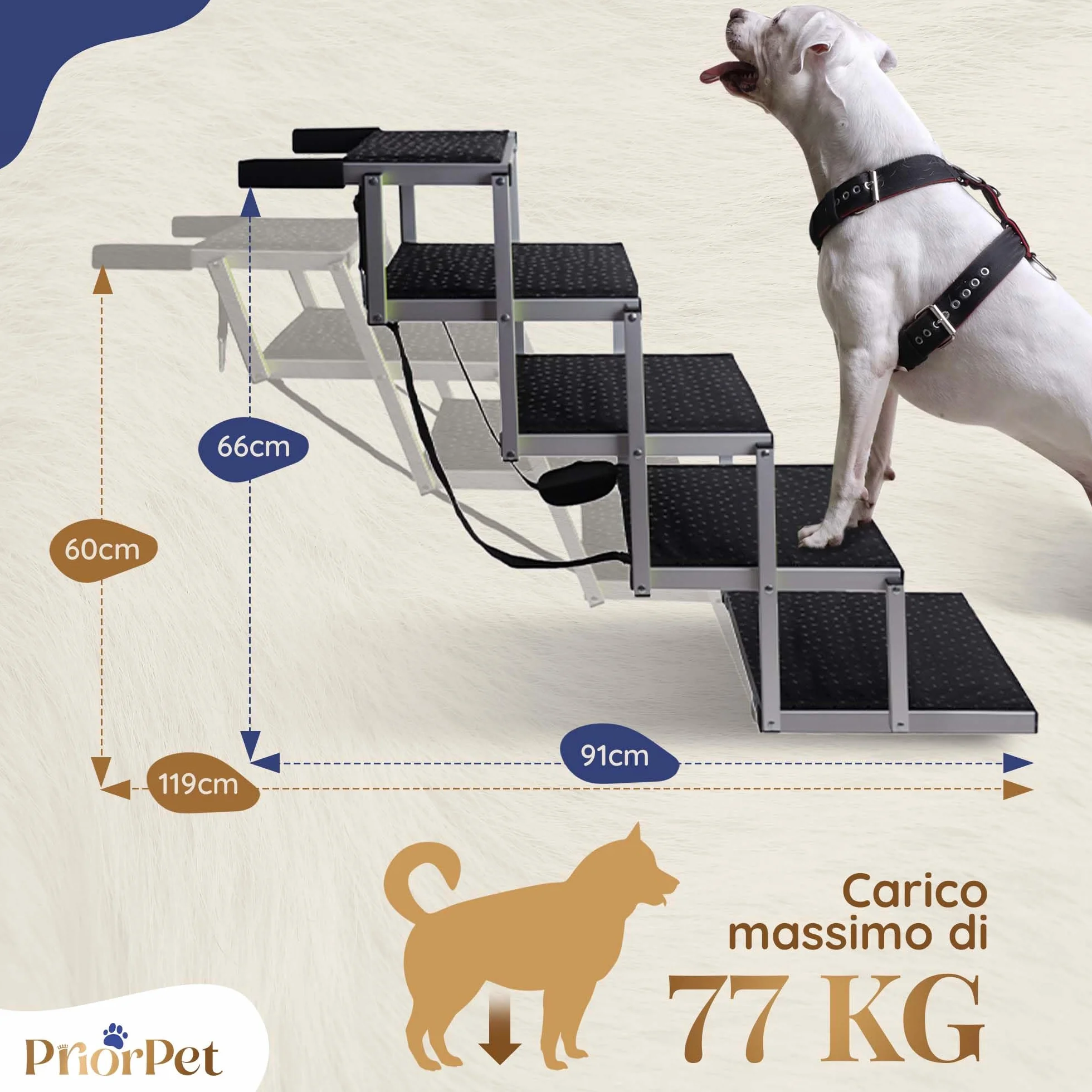 Rampa per Cani PRIORPET Pieghevole Fino a 77 KG Antiscivolo Riflettente 5 Gradini
