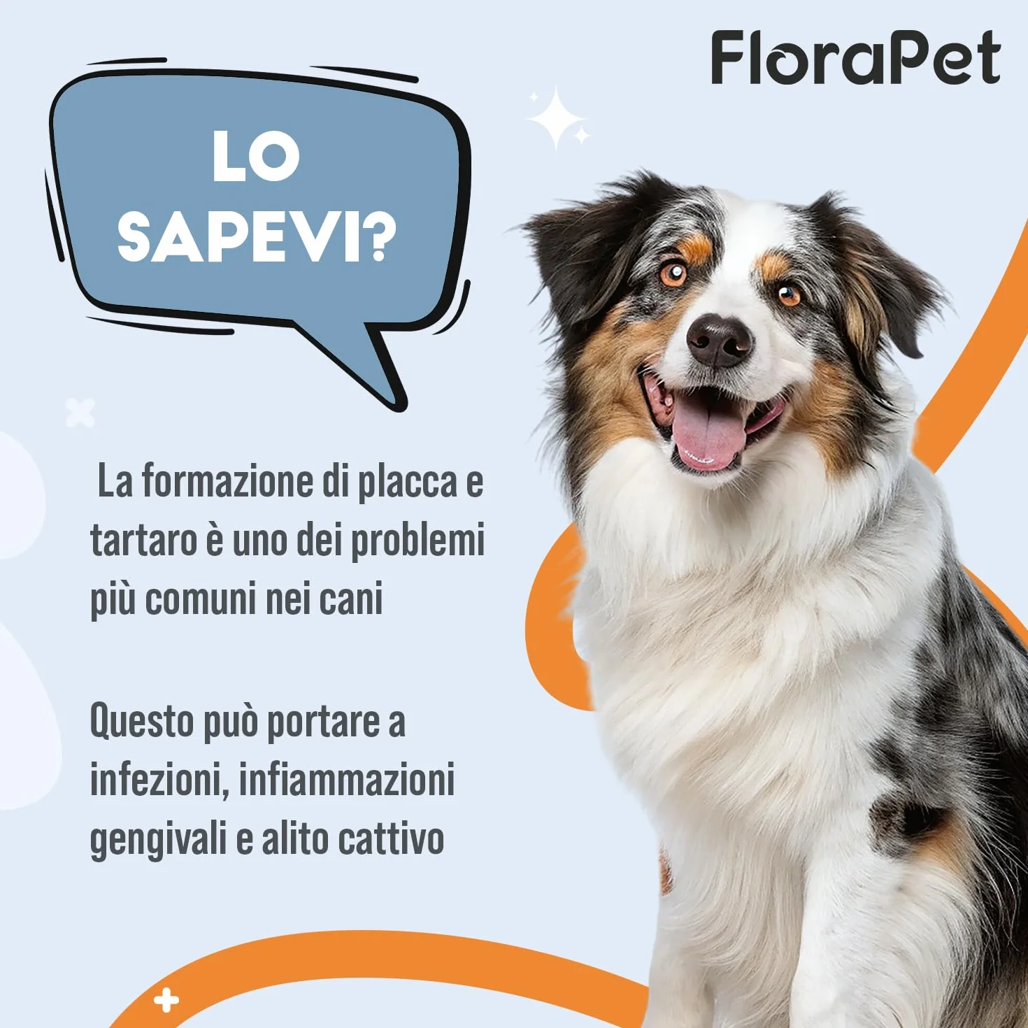 Pulizia Denti Cane in Polvere, Rimuovi Tartaro Denti, con Ascophyllum Nodosum e Pappa Reale, per Alito Cattivo e Igiene Orale, 150gr per Supporto alle Gengive e Alito Fresco