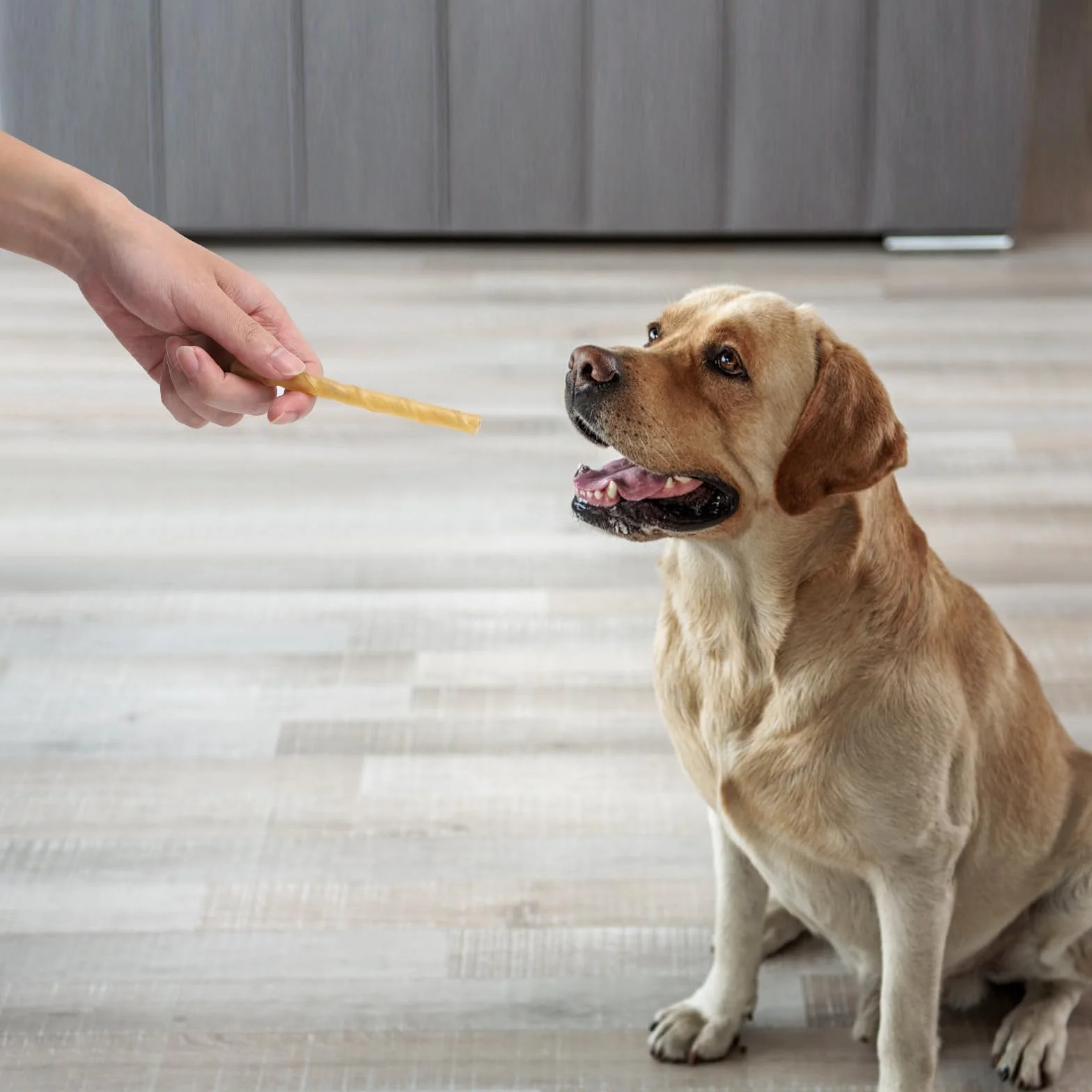 Nobleza - Bastoncini per Cani Pelle Bufalo, Confezione da 120, 125mm x 10mm, Snack per Cani Naturali , Rinforzante per Denti Bastone Dentale