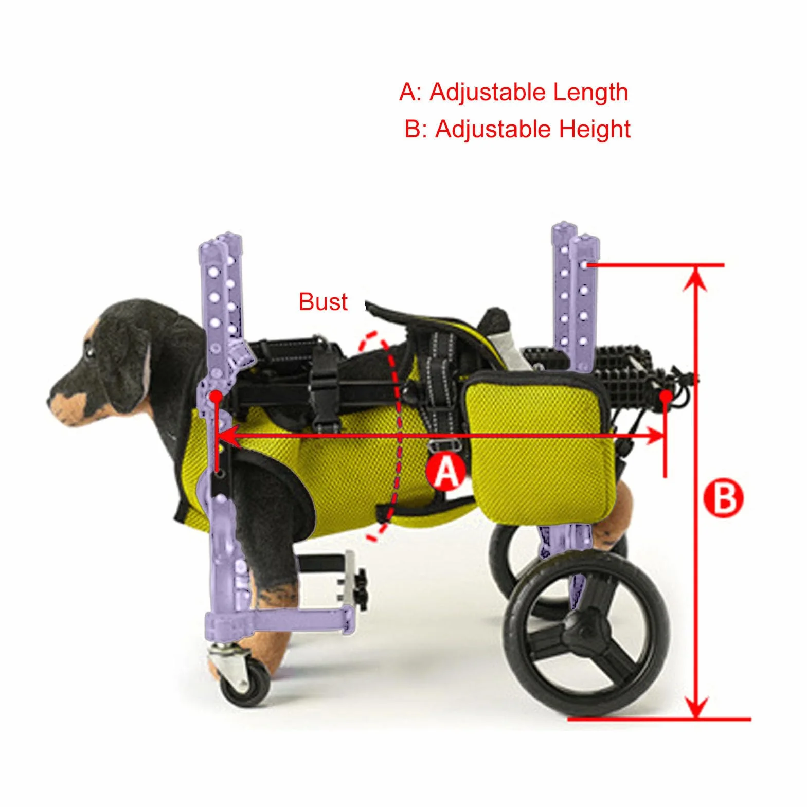 Garsent Sedia a Rotelle per Cani per Gambe Posteriori, Carrello per Sedie a Rotelle del Cane, Carrello Posteriore per Cani a 4 Ruote Integrate per Cani per Esterno e Aiuti di mobilità