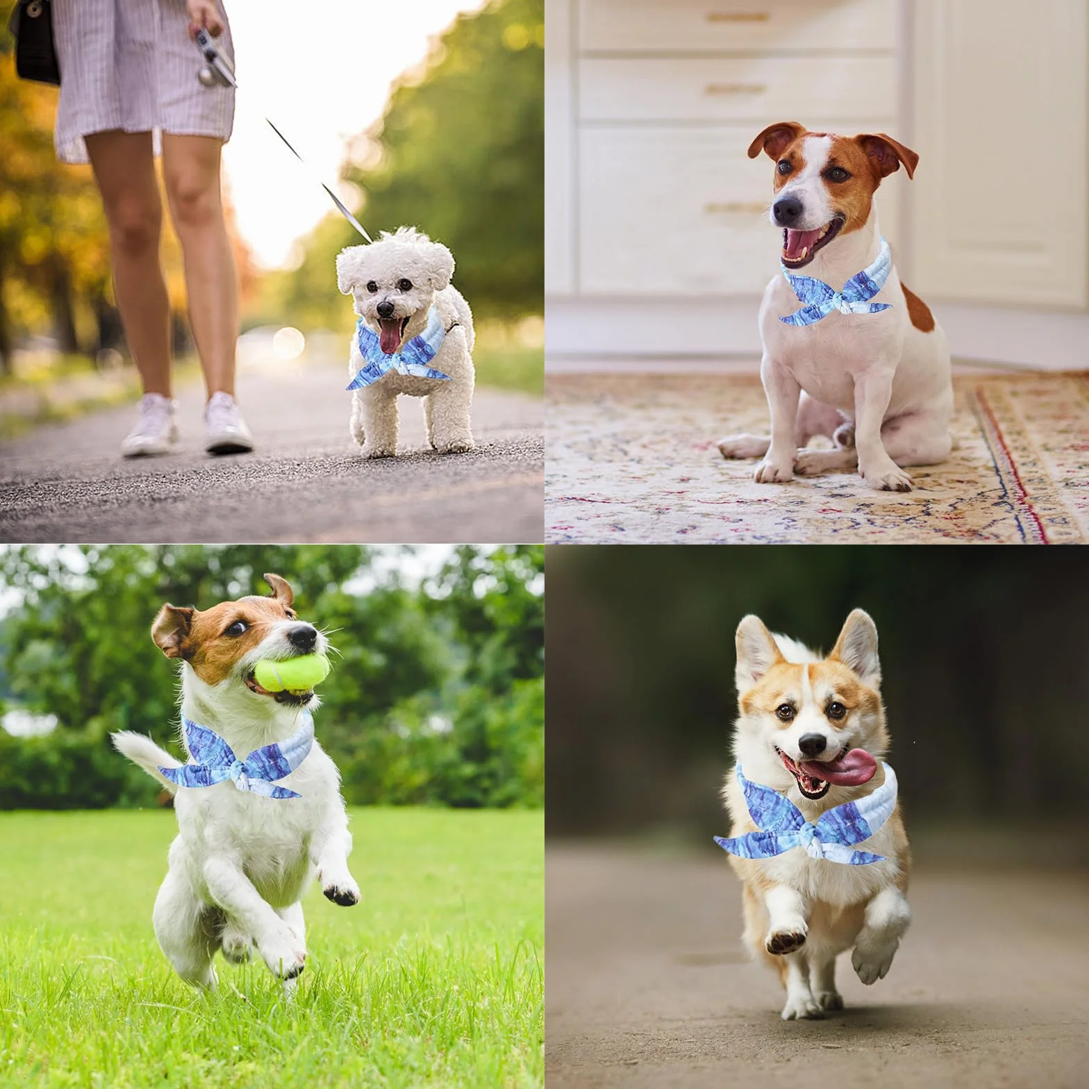 Bandana Rinfrescante per Cani, Collare Raffreddamento Ghiaccio Estate