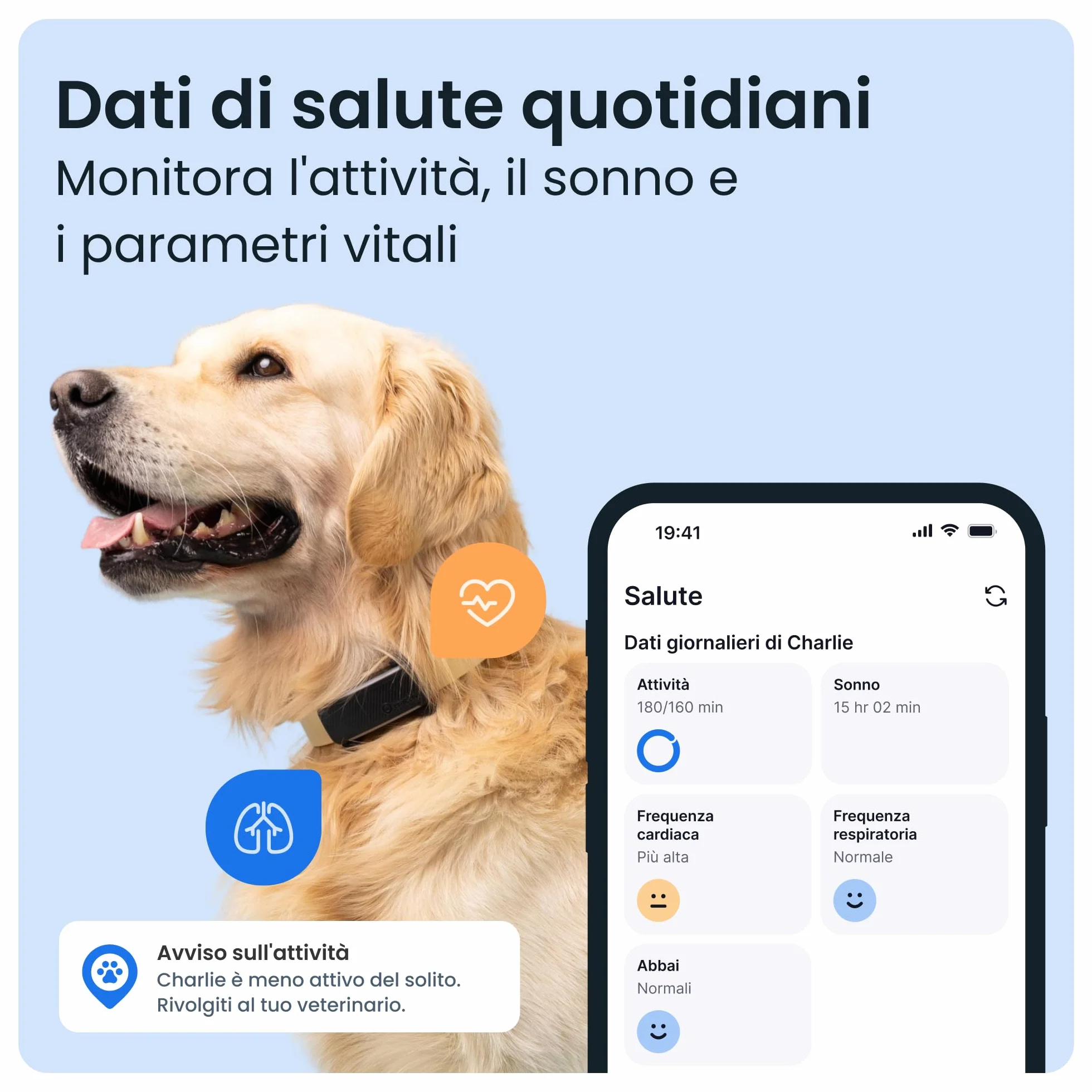 Tractive - GPS per cani | 2025 Edizione | N. 1 sul mercato | Localizzazione in tempo reale | Notifiche antifuga | Monitoraggio dell'attività | Avvisi di salute | Monitoraggio degli abbai (Nero)