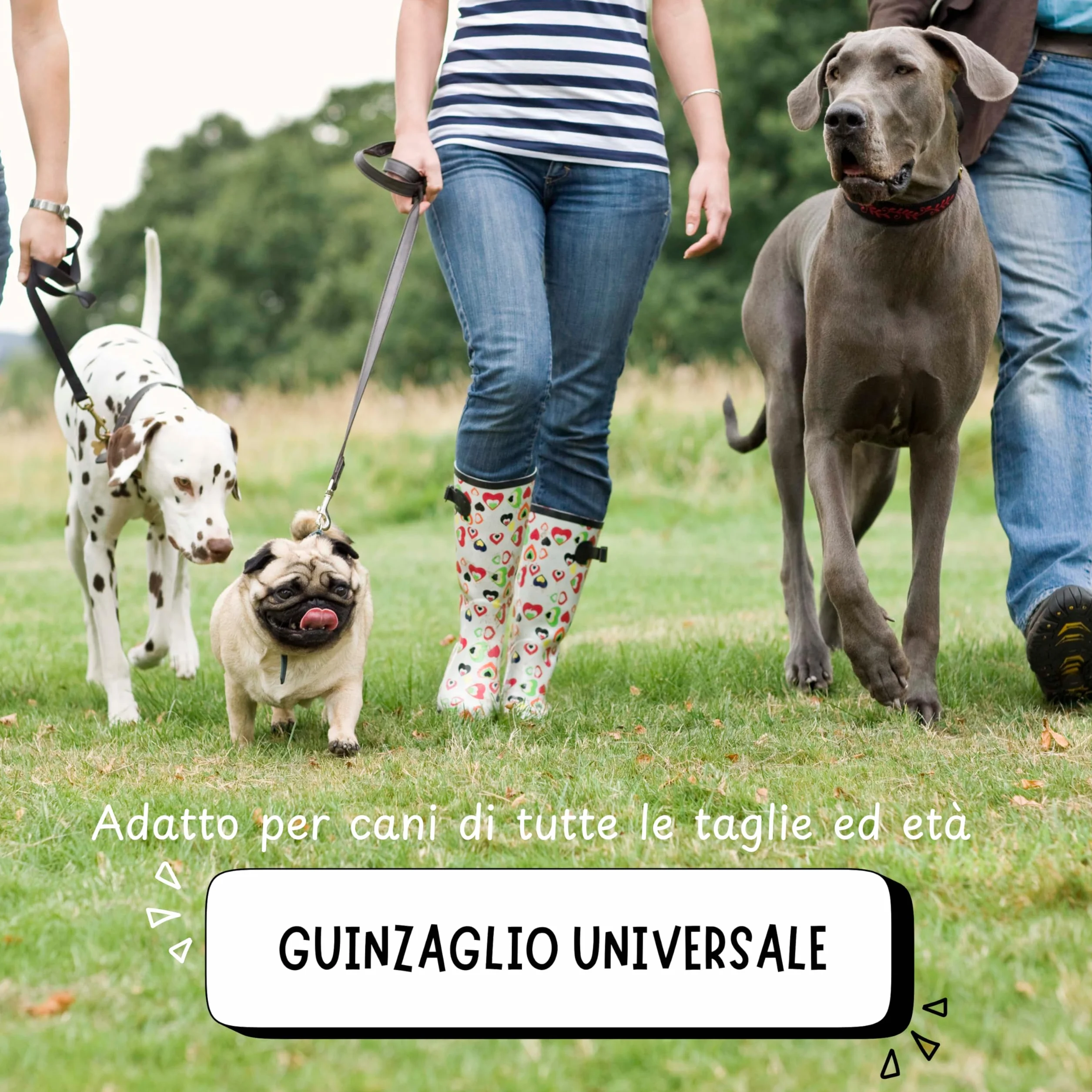 Lunghina Cane 10 Metri in Nylon Resistente – Guinzaglio Addestramento per Cani con Moschettone Girevole Antigroviglio - Nero